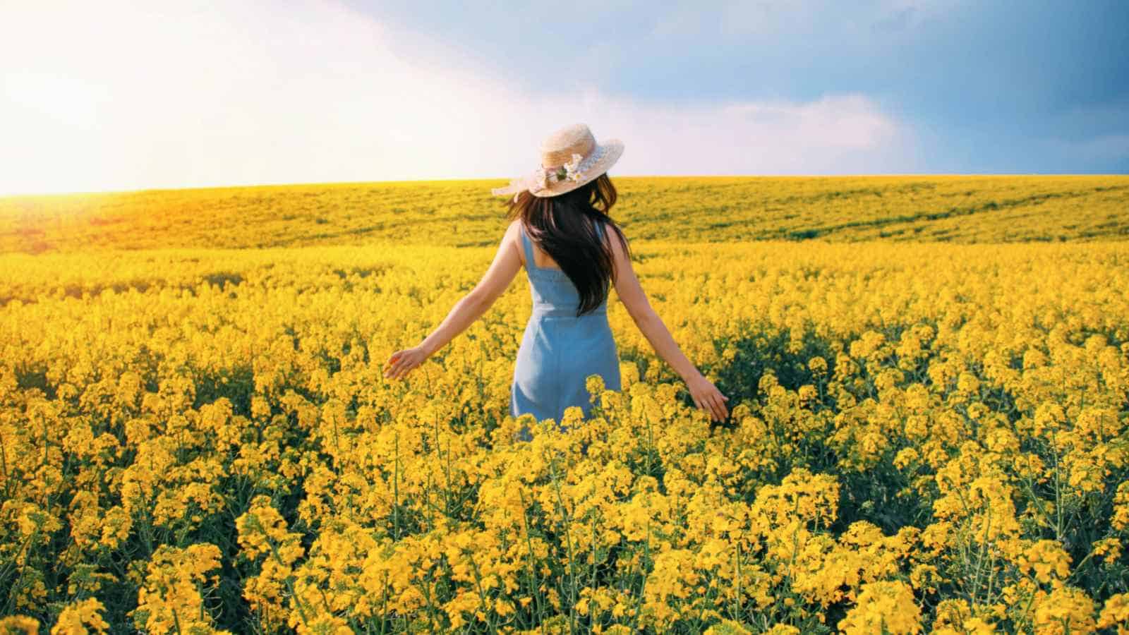 1600x900 Best Yellow Flowers for Gardens (Annuals and Perennials)