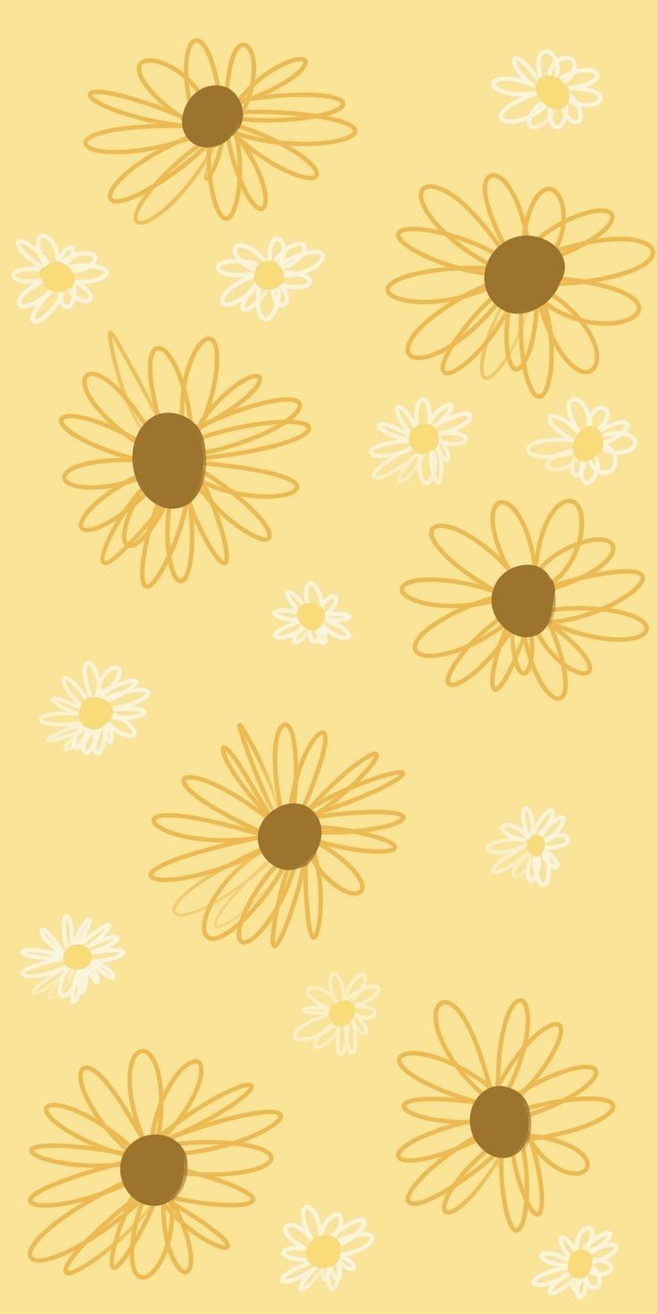 736x1472 ❈