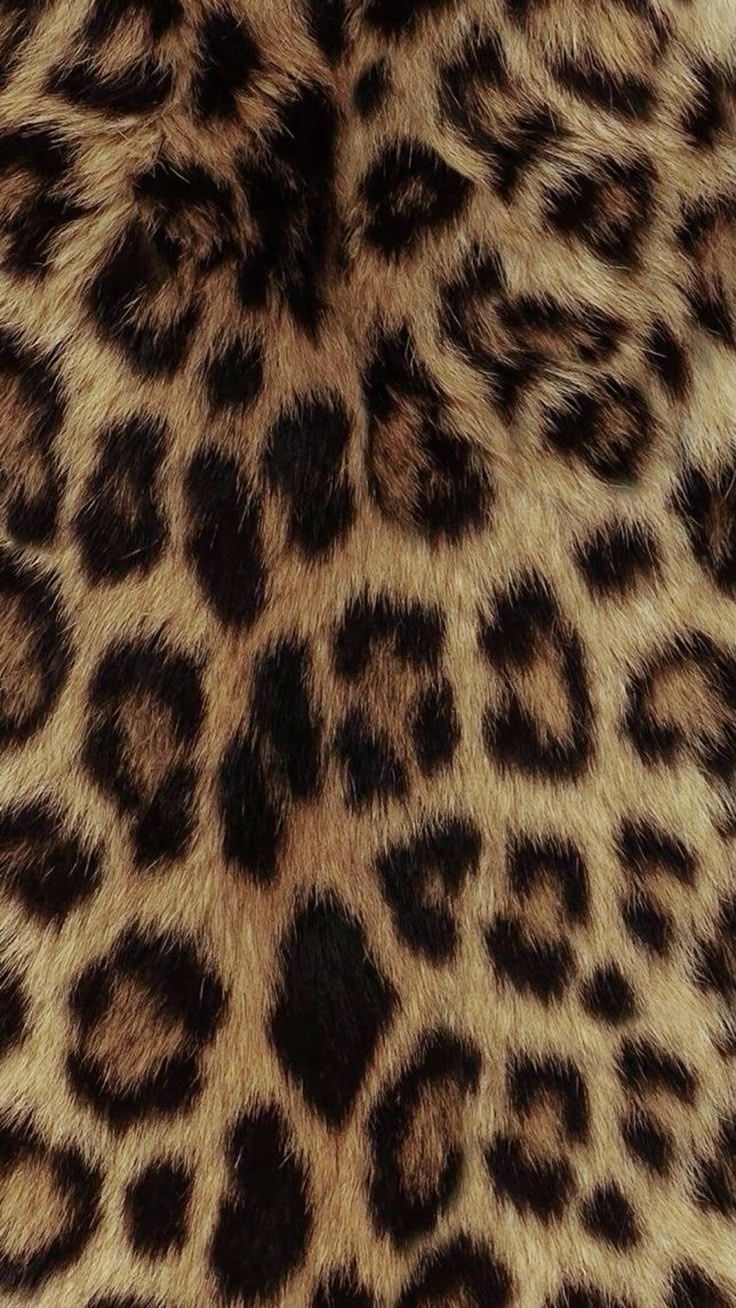 736x1308 Cheetah Print Wallpaper. Print texture, קולאז' תמונות, בוב ספוג