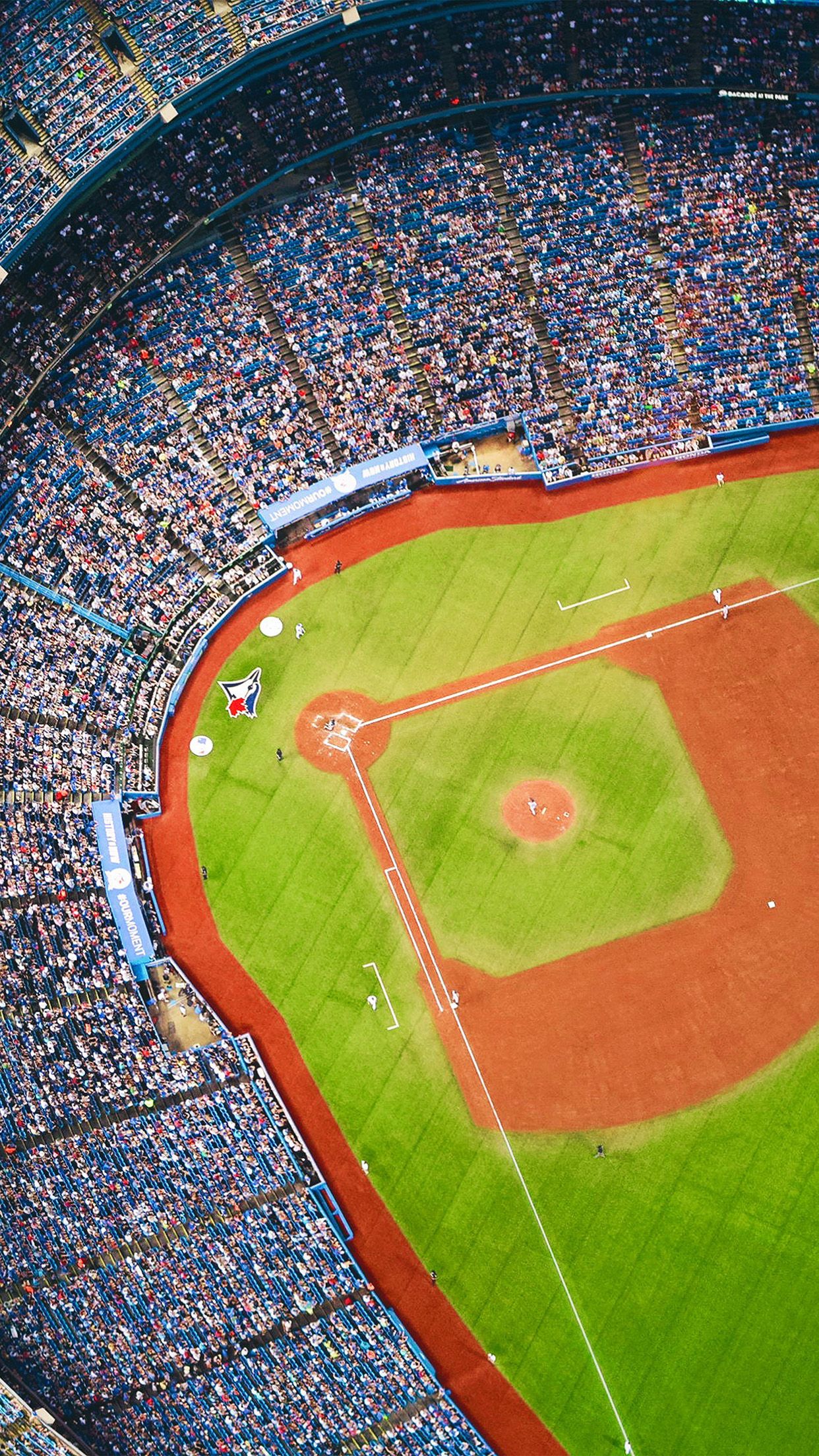 1242x2208 iPhone X wallpaper. bluejays baseball mlb field sports
