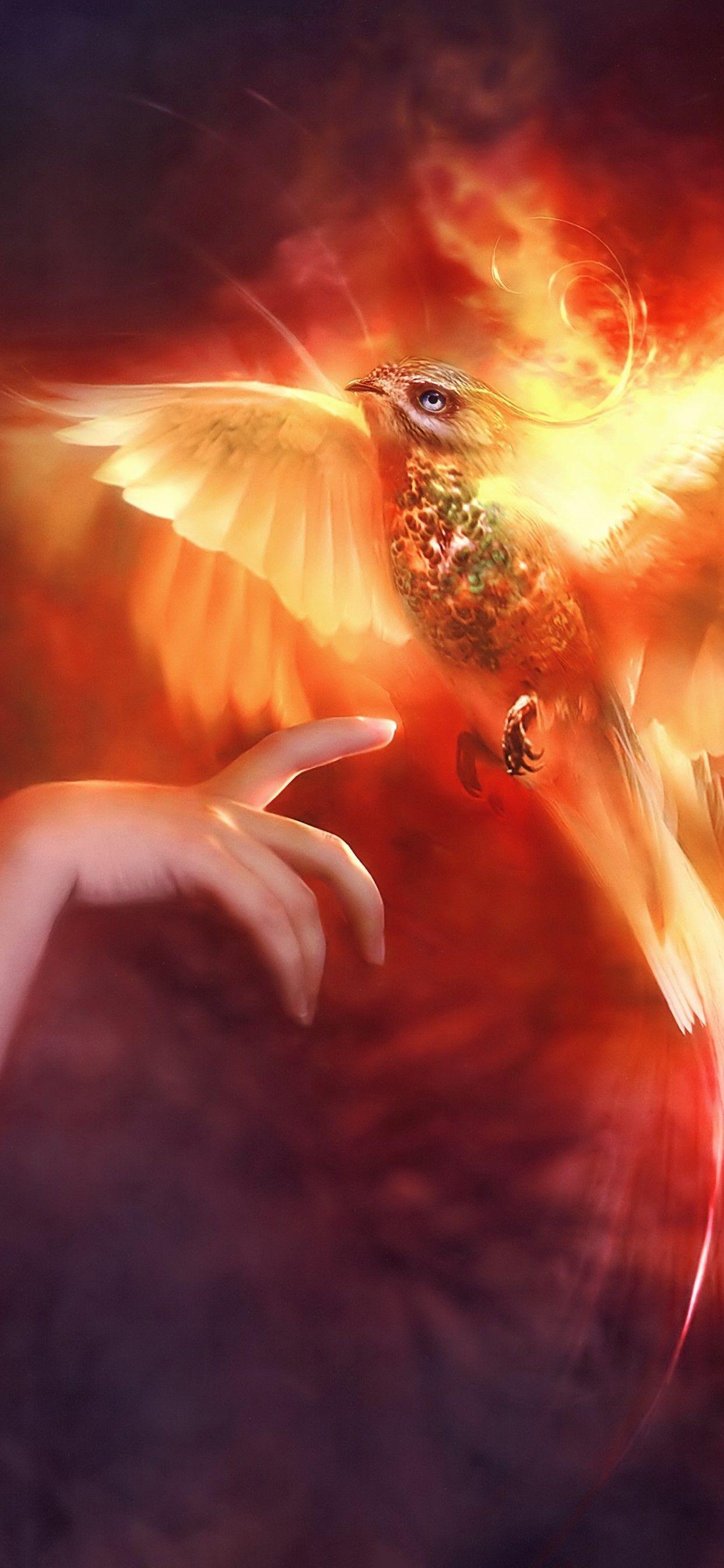 1242x2688 Phoenix Girl 4k Wallpaper