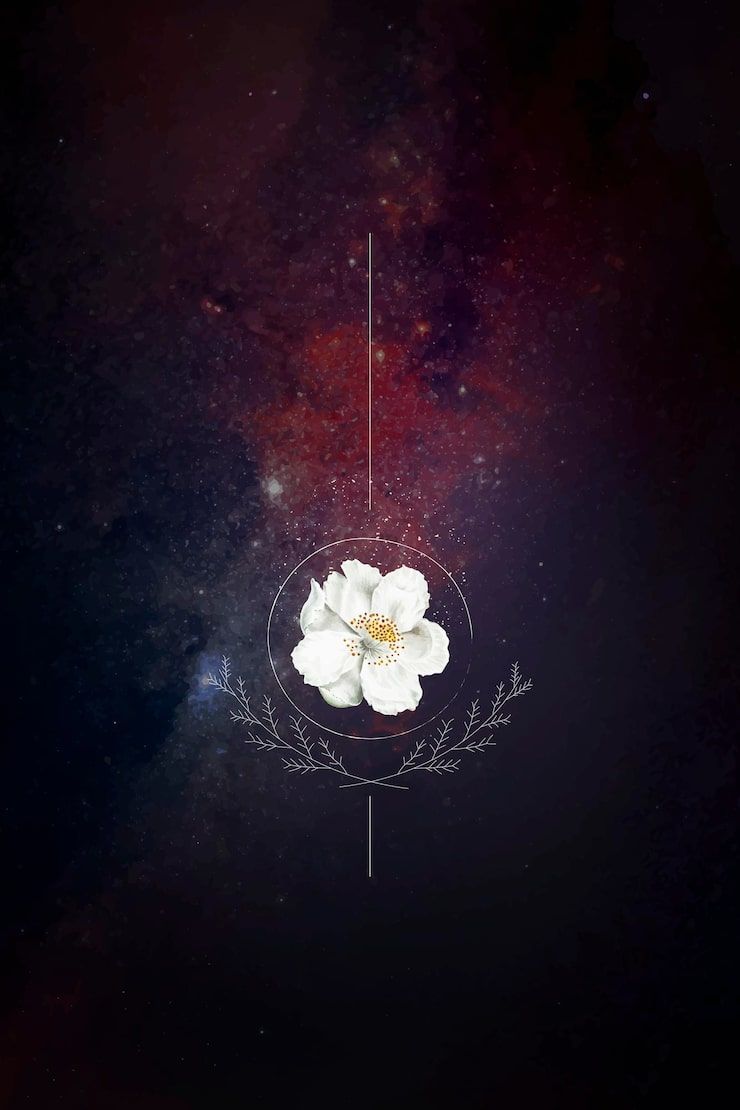 740x1110 Soul journey artwork Image