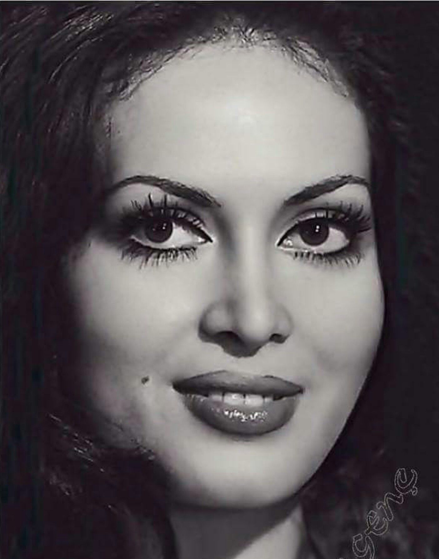 1404x1785 Turkan Soray Actress (50 Photo)