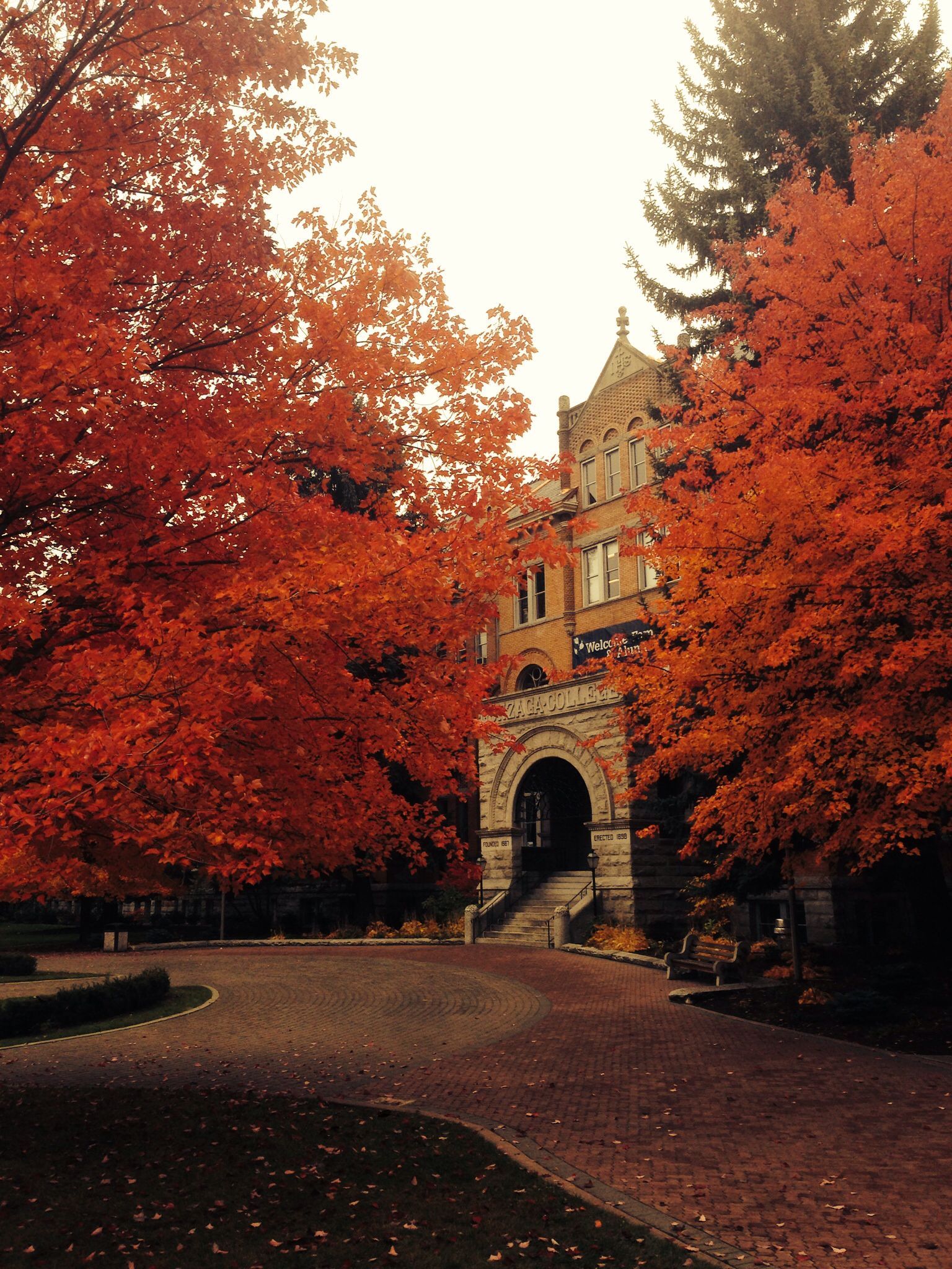 1536x2048 Gonzaga University ideas. gonzaga university, gonzaga, gonzaga basketball