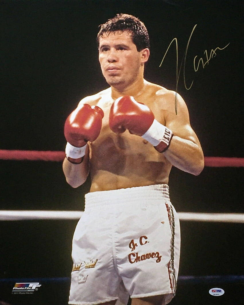 850x1059 Download Julio Cesar Chavez Signature Wallpaper
