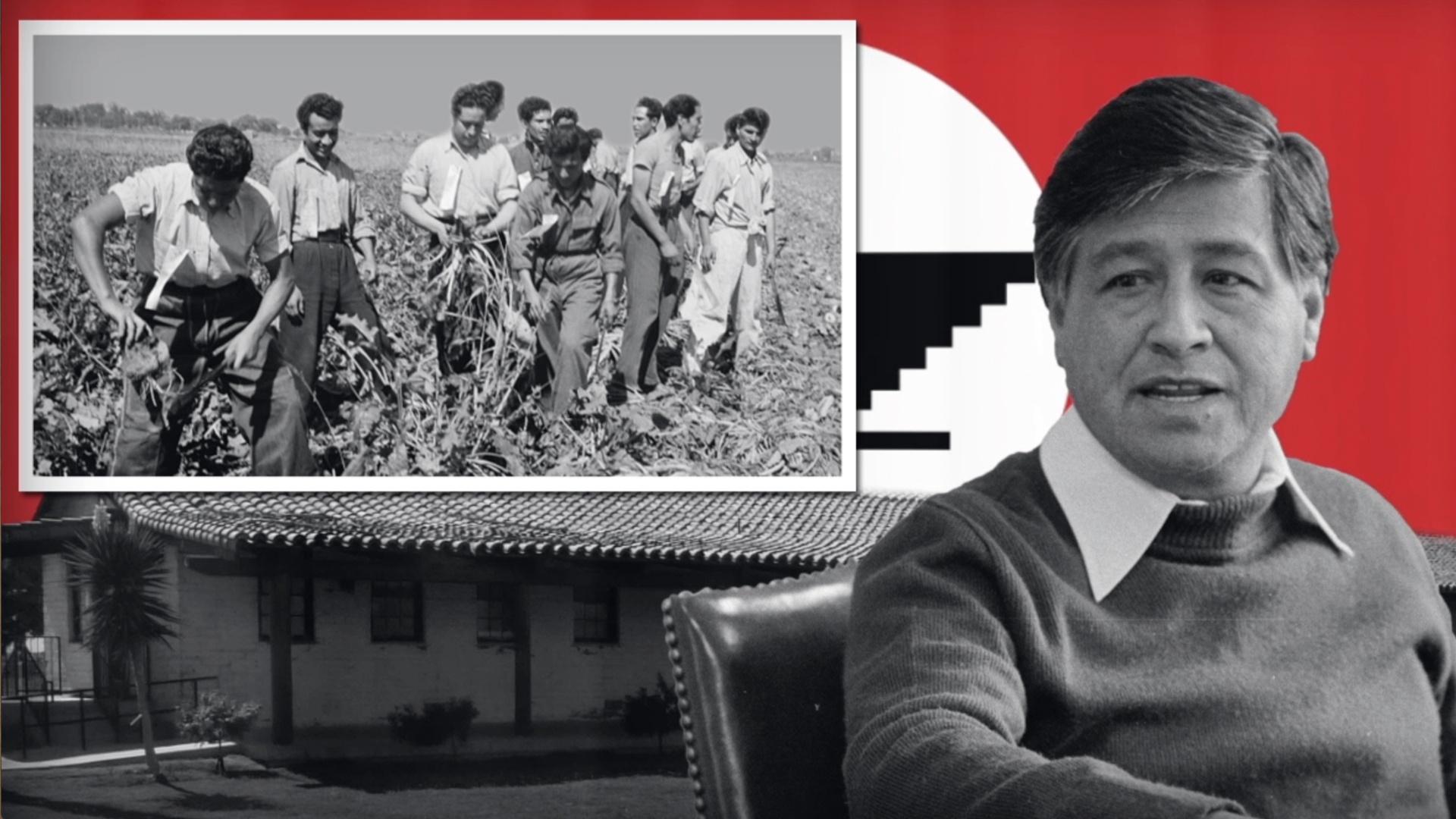 1920x1080 Social Studies: Cesar Chavez