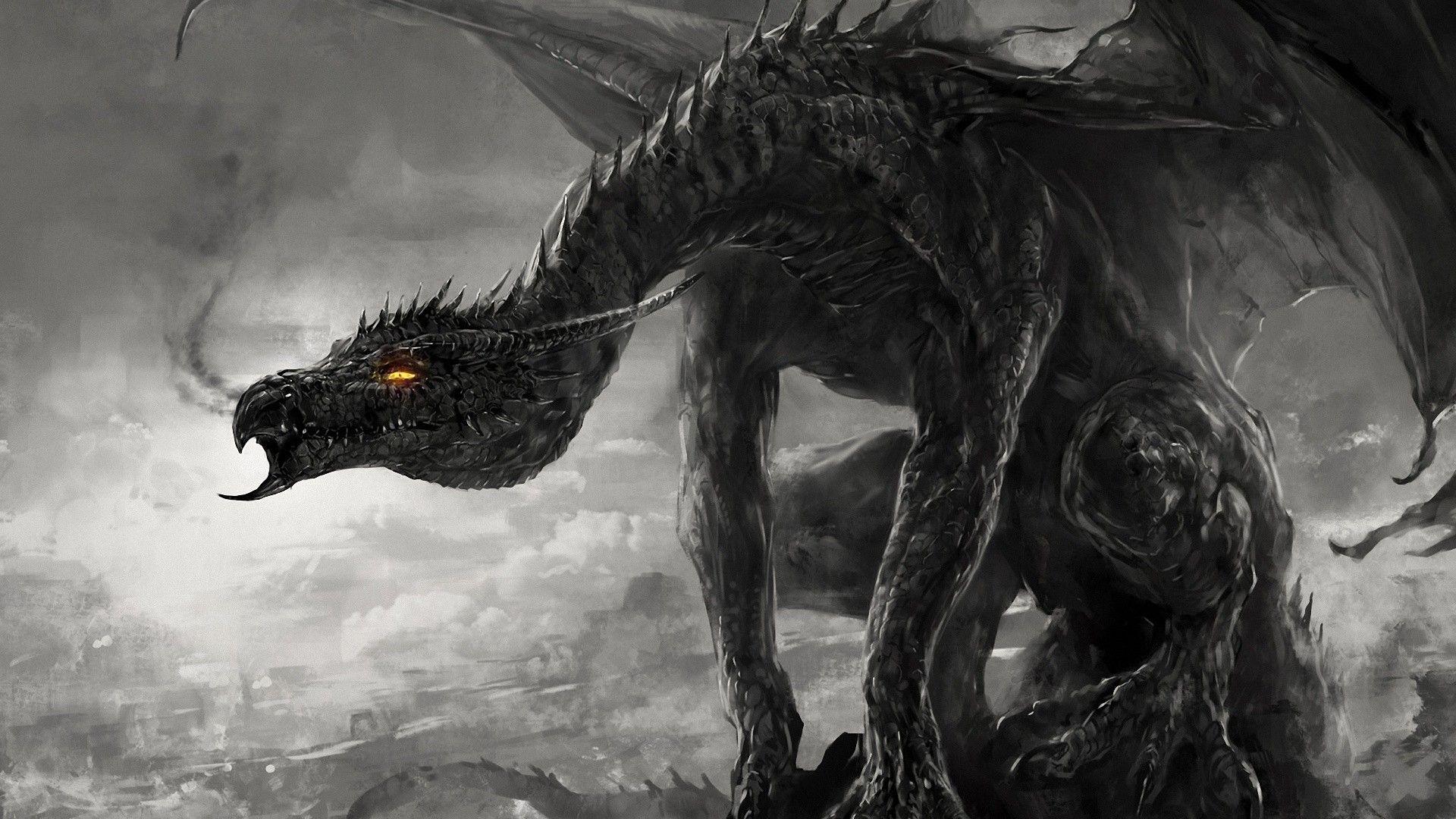 1920x1080 Black And White Dragon