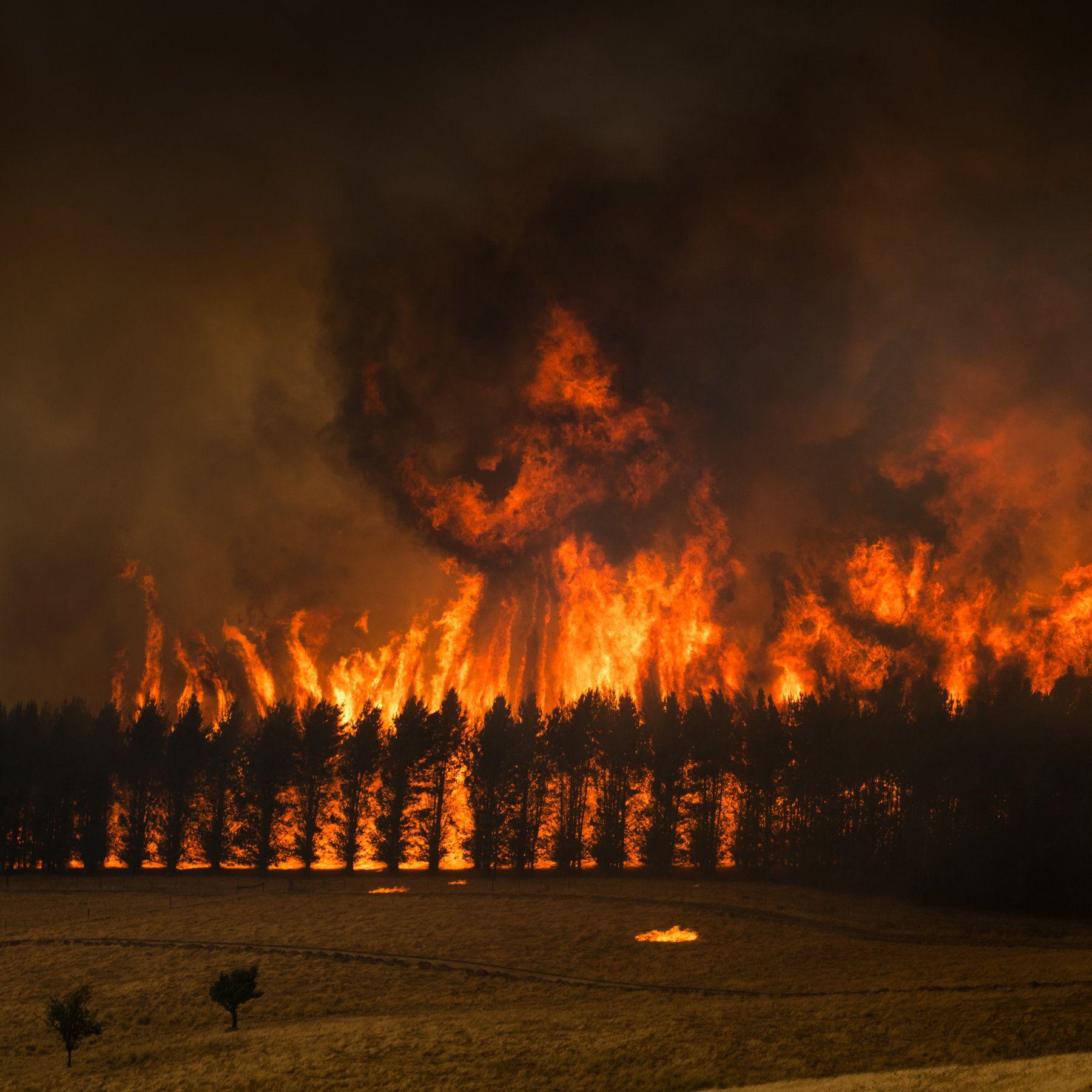 1800x1800 The Australia Wildfires in Picture