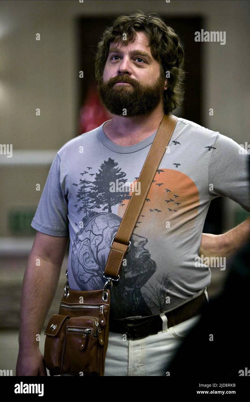 866x1390 Alan The Hangover Hi Res Graphy And Image