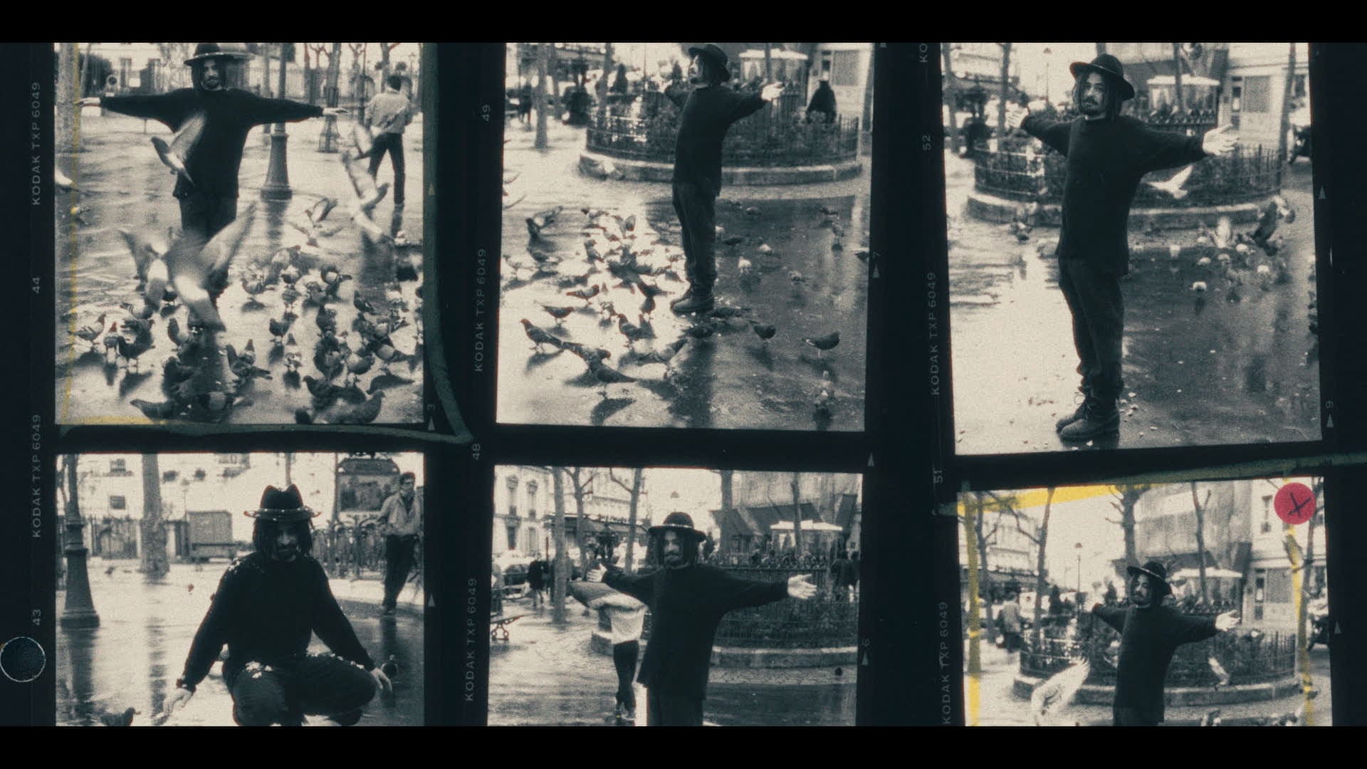 1920x1080 Recounting the Crows
