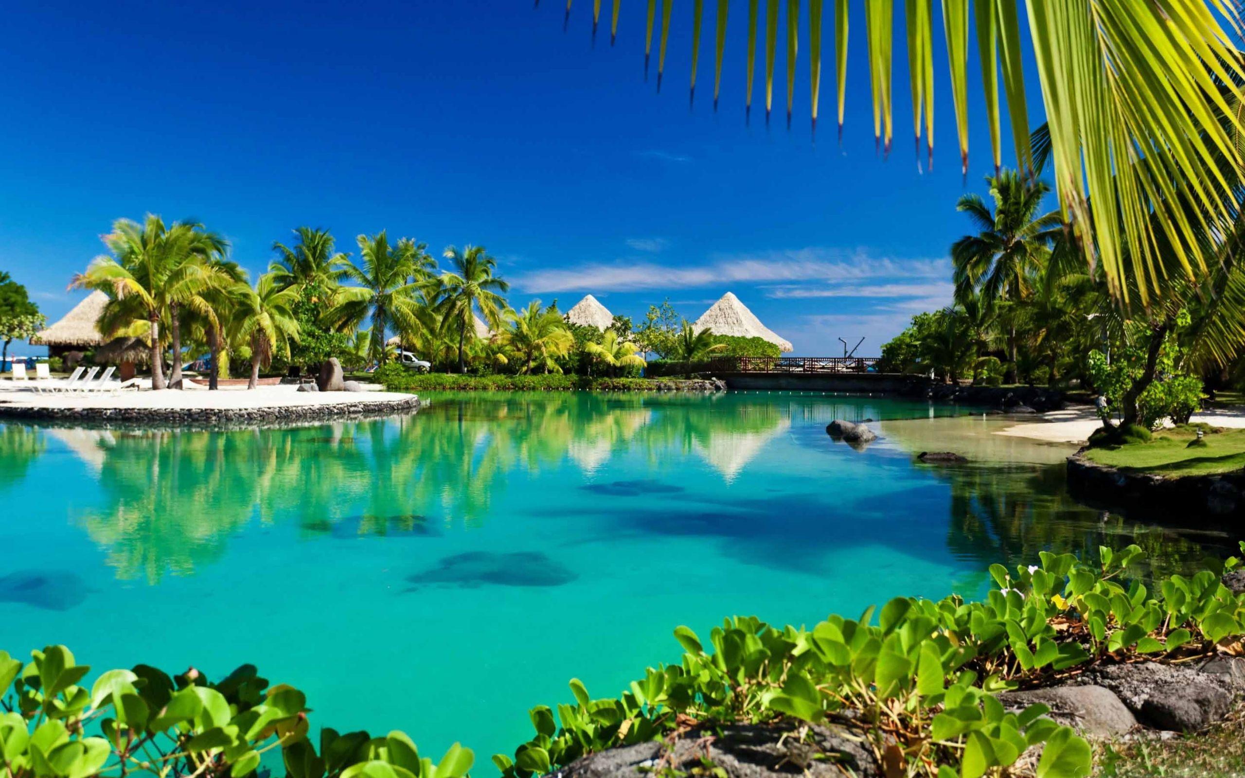 2560x1600 Tropical Island Swimming Pool Resort MacBook Air Wallpaper