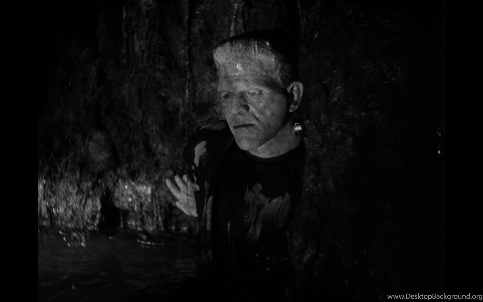 1680x1050 Universal Classic Monsters: The Essential Collection Blu ray