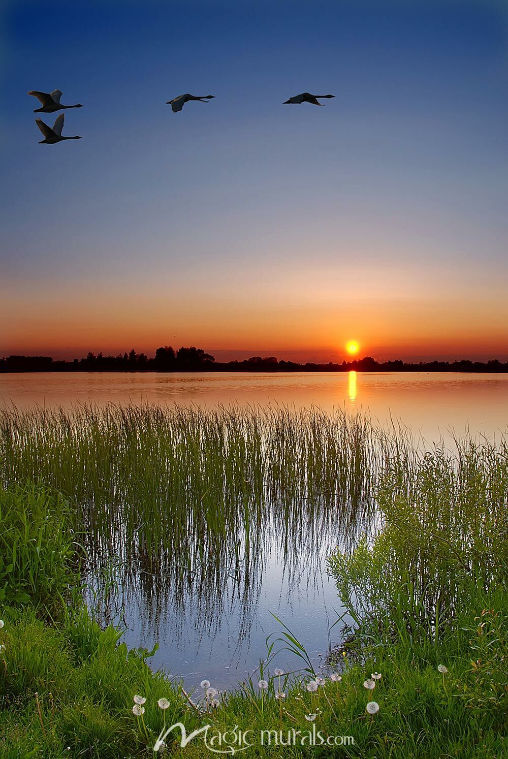 1000x1494 Lake Sunset with Birds
