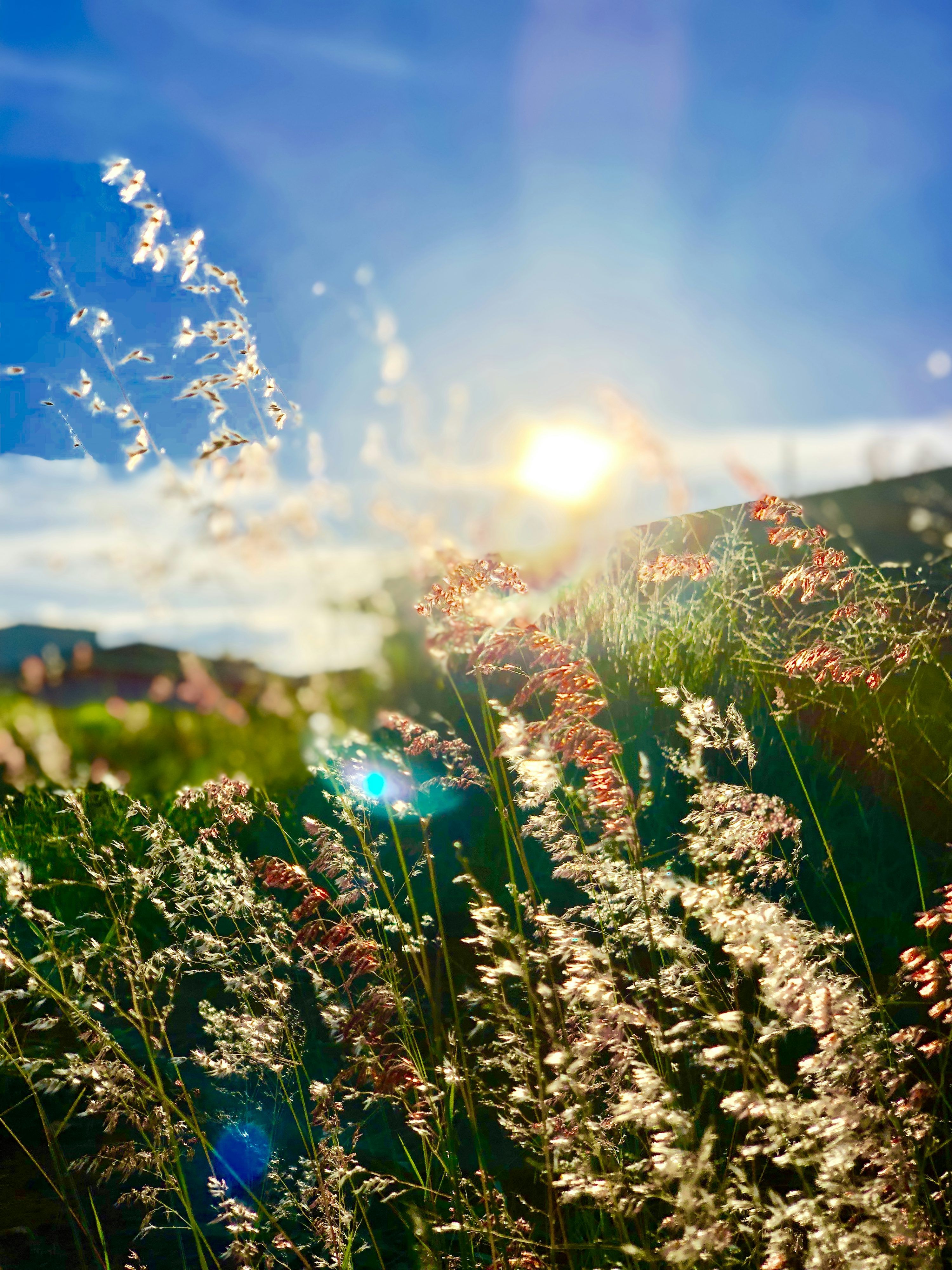 3000x4000 Spring Equinox Picture. Download Free Image