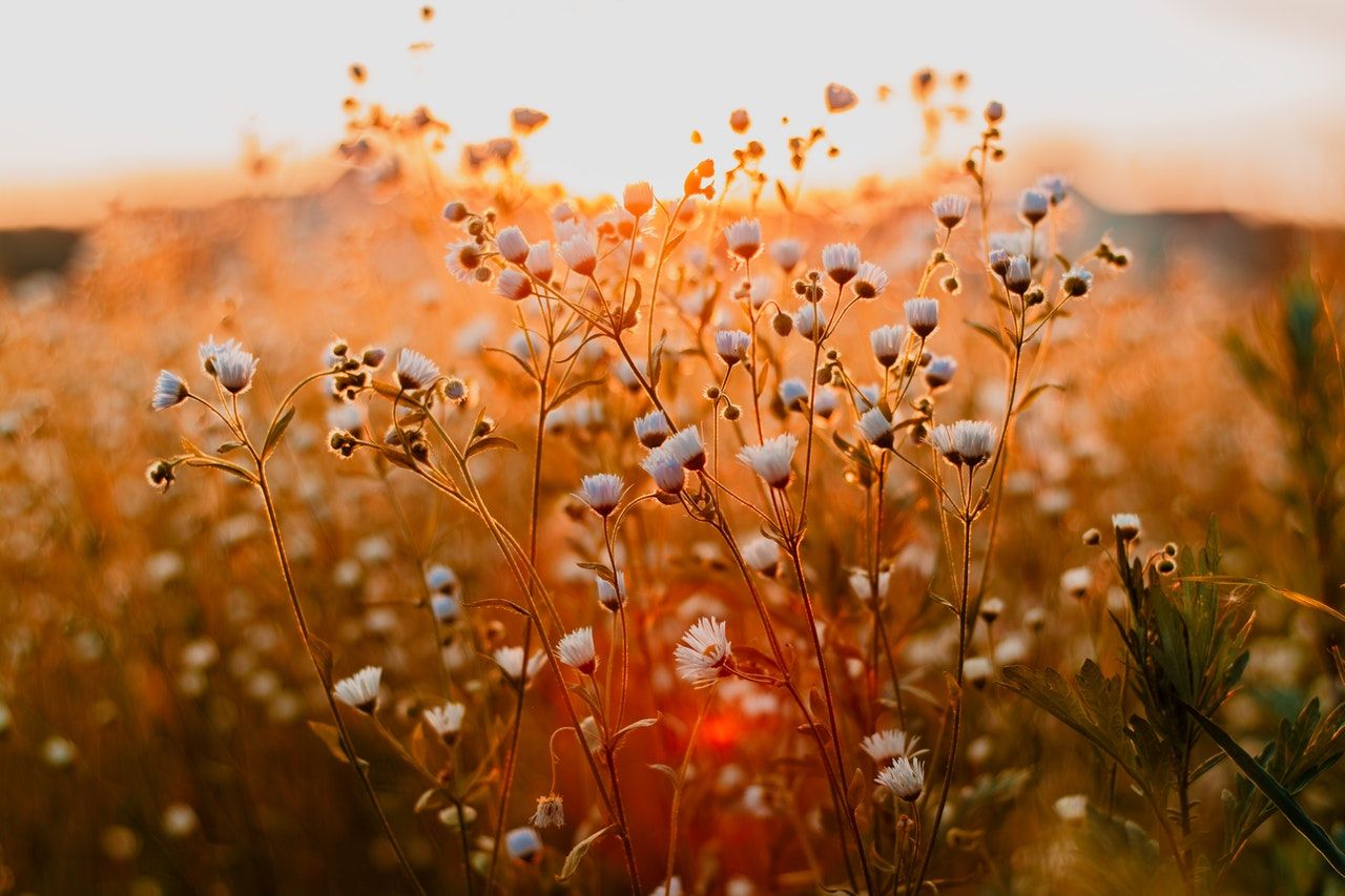 1280x853 Why the Spring Equinox Isn't the Start of Spring. Steven Farmer