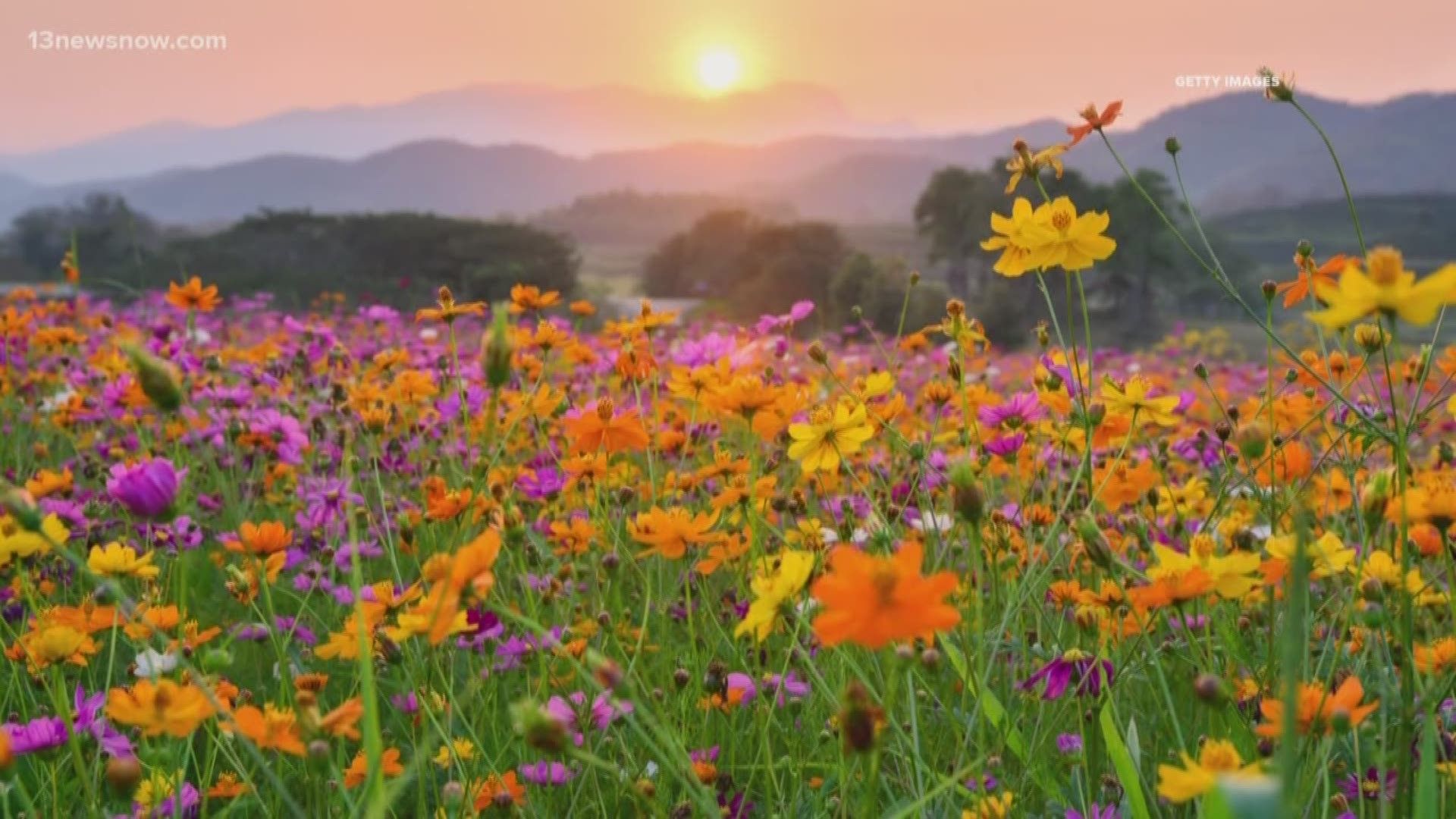 1920x1080 SCIENCE BEHIND: The Spring Equinox 2020