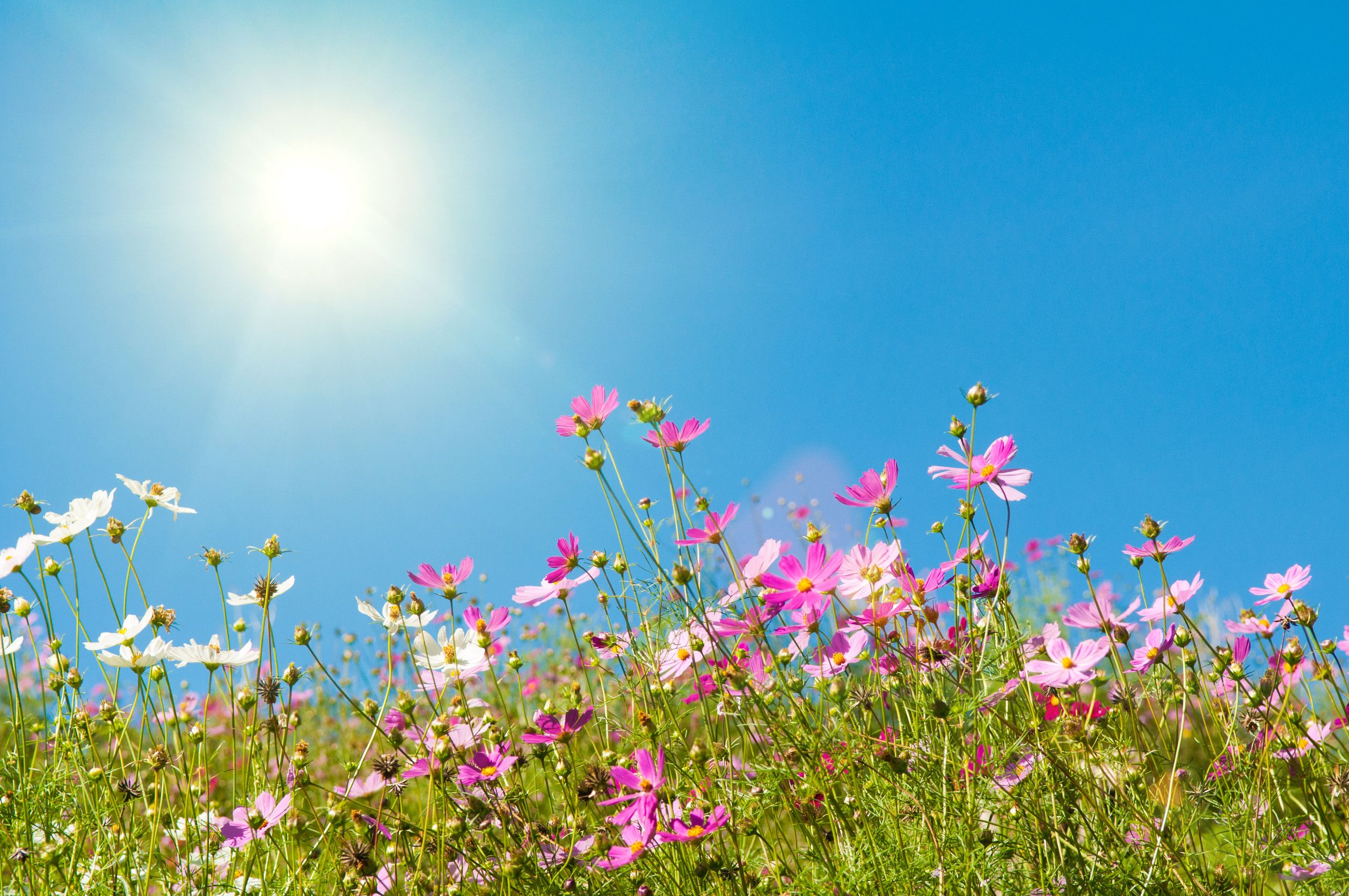 2513x1669 Honoring the spring equinox: Lessons from Indigenous rituals for balance and renewal. The Optimist Daily