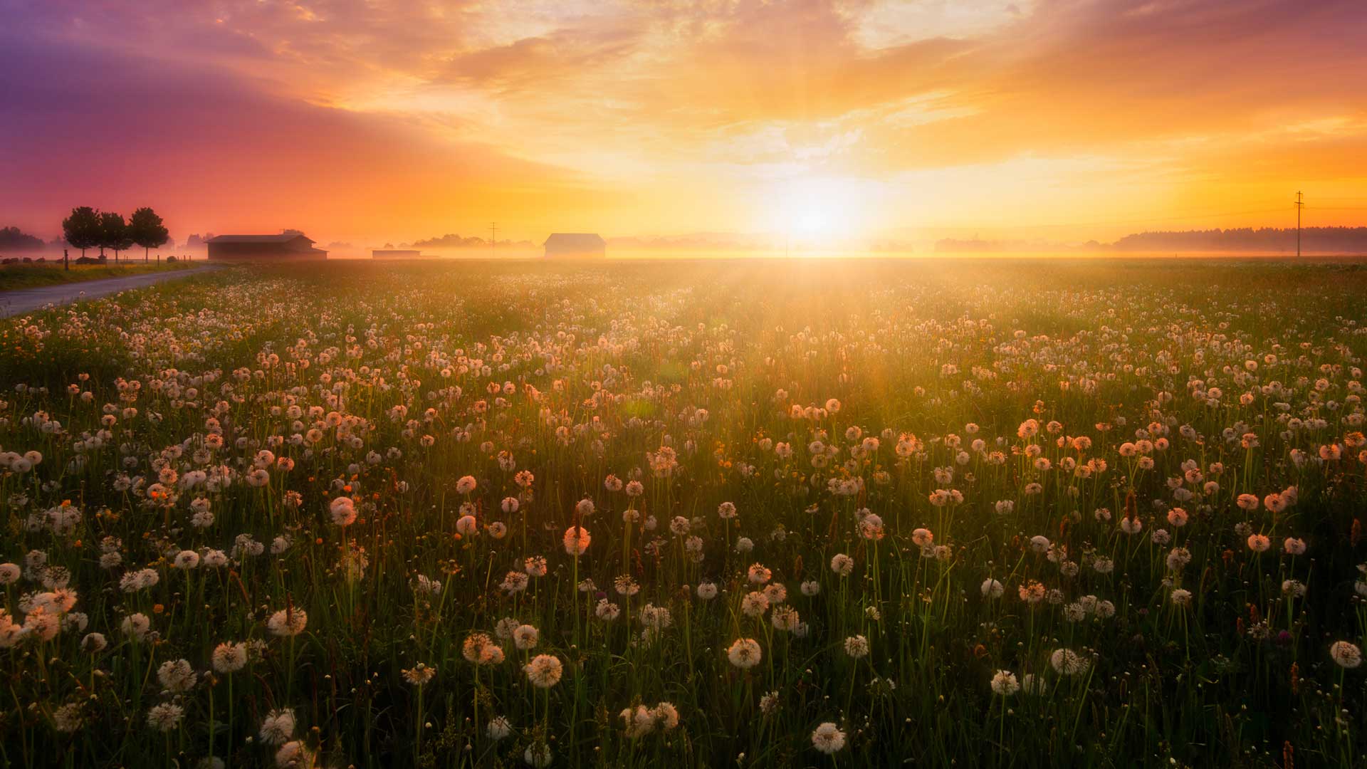 1920x1080 March equinox 2022 brings spring to Northern Hemisphere as Earth's seasons change