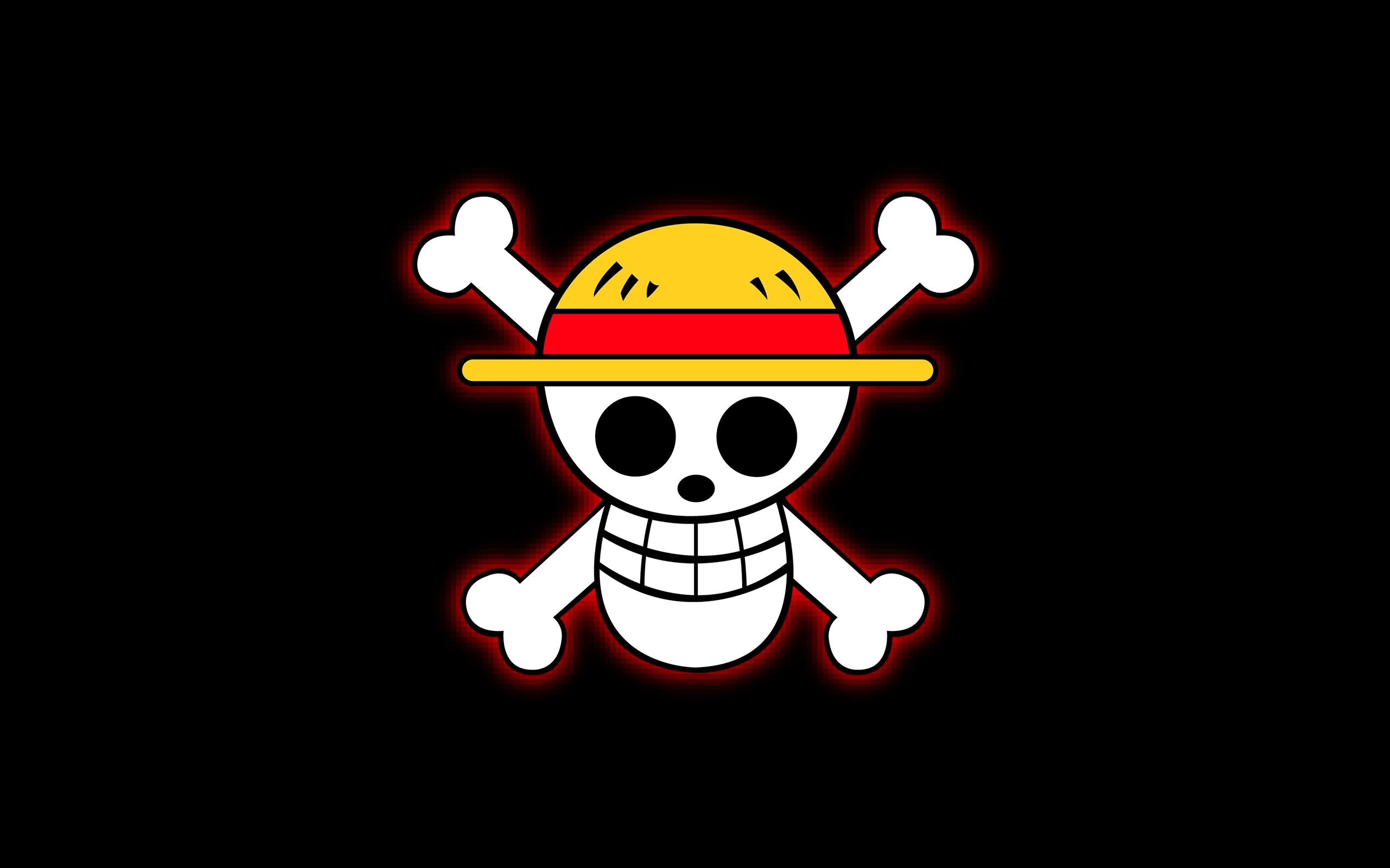 2560x1600 anime, One Piece, Skull and bones, Skull Wallpaper HD / Desktop and Mobile Background
