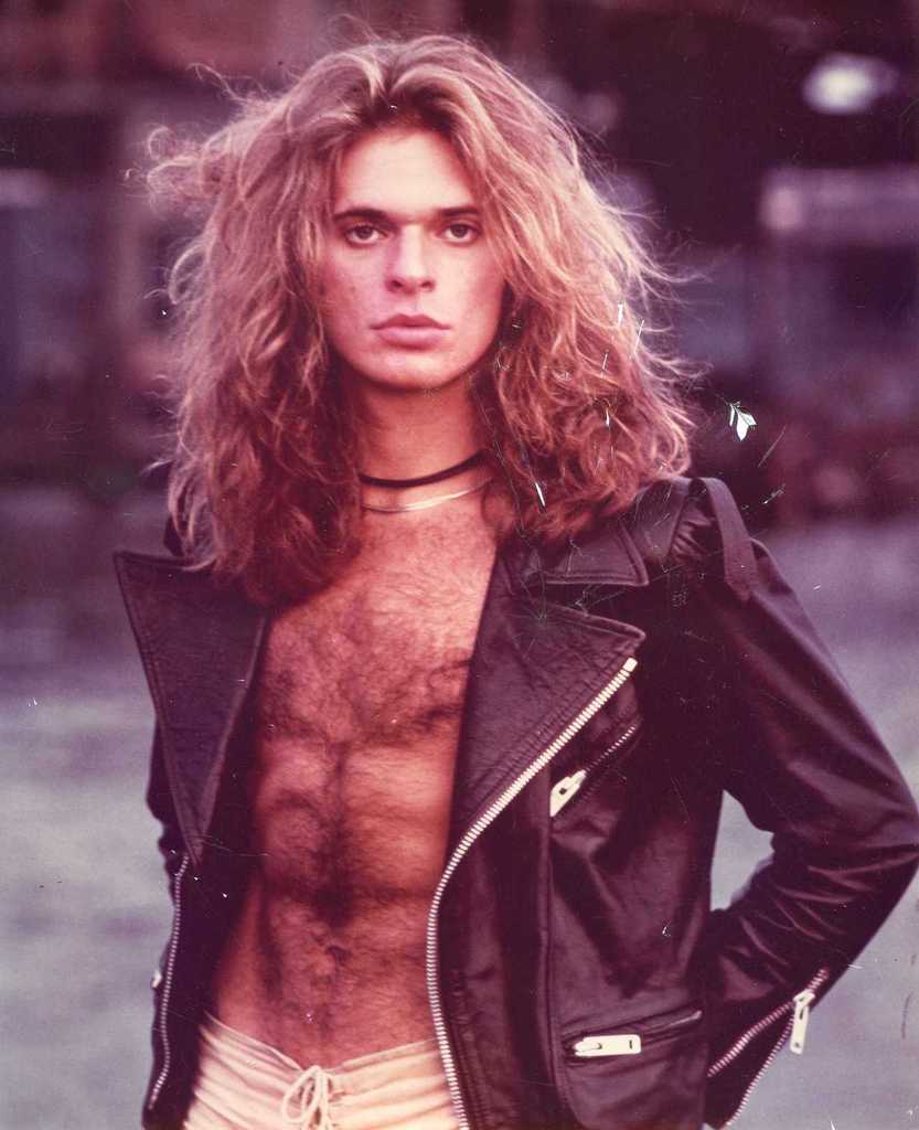 833x1024 David Lee Roth Wallpaper