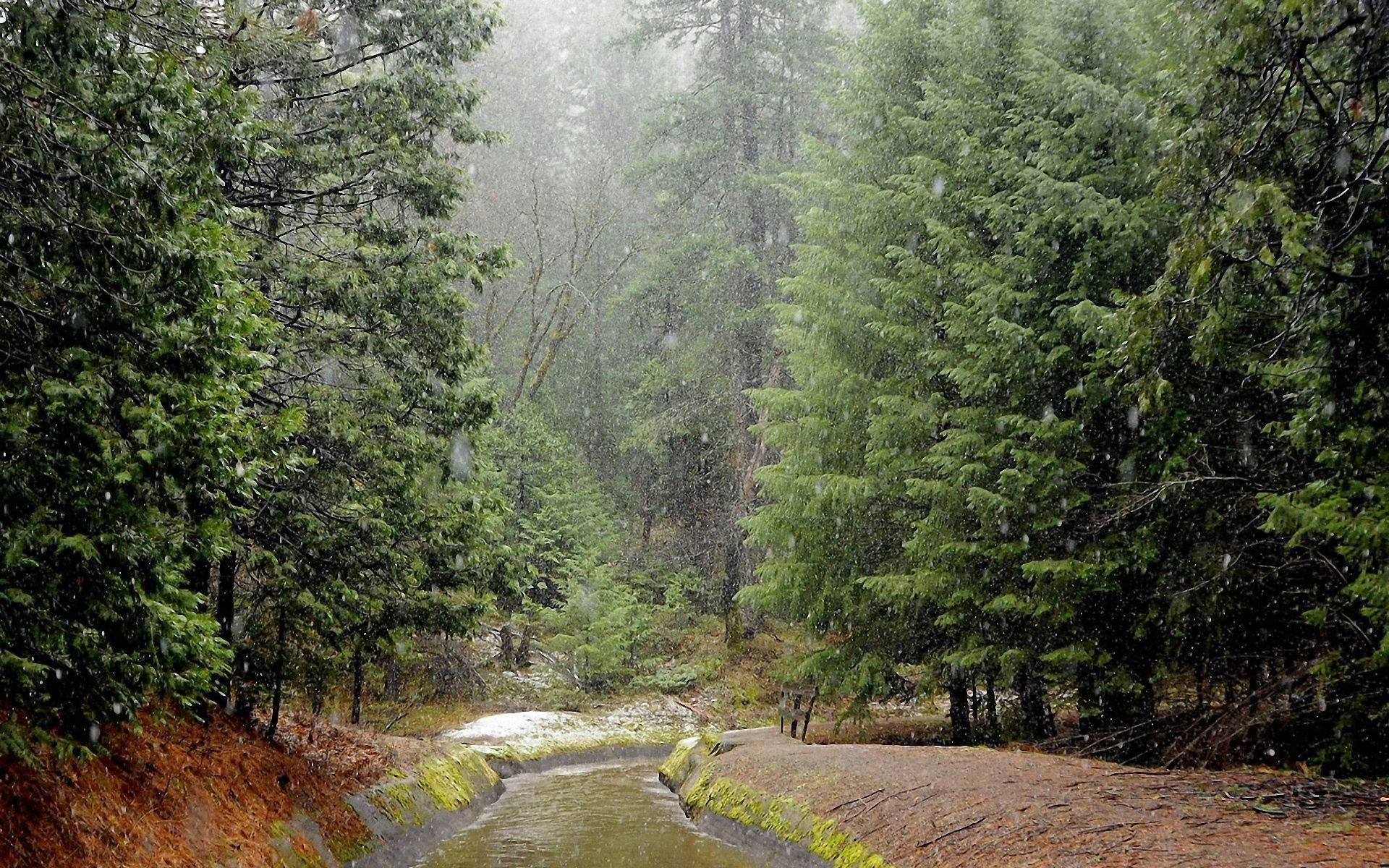 1920x1200 Download Retreating From The Rain Wallpaper