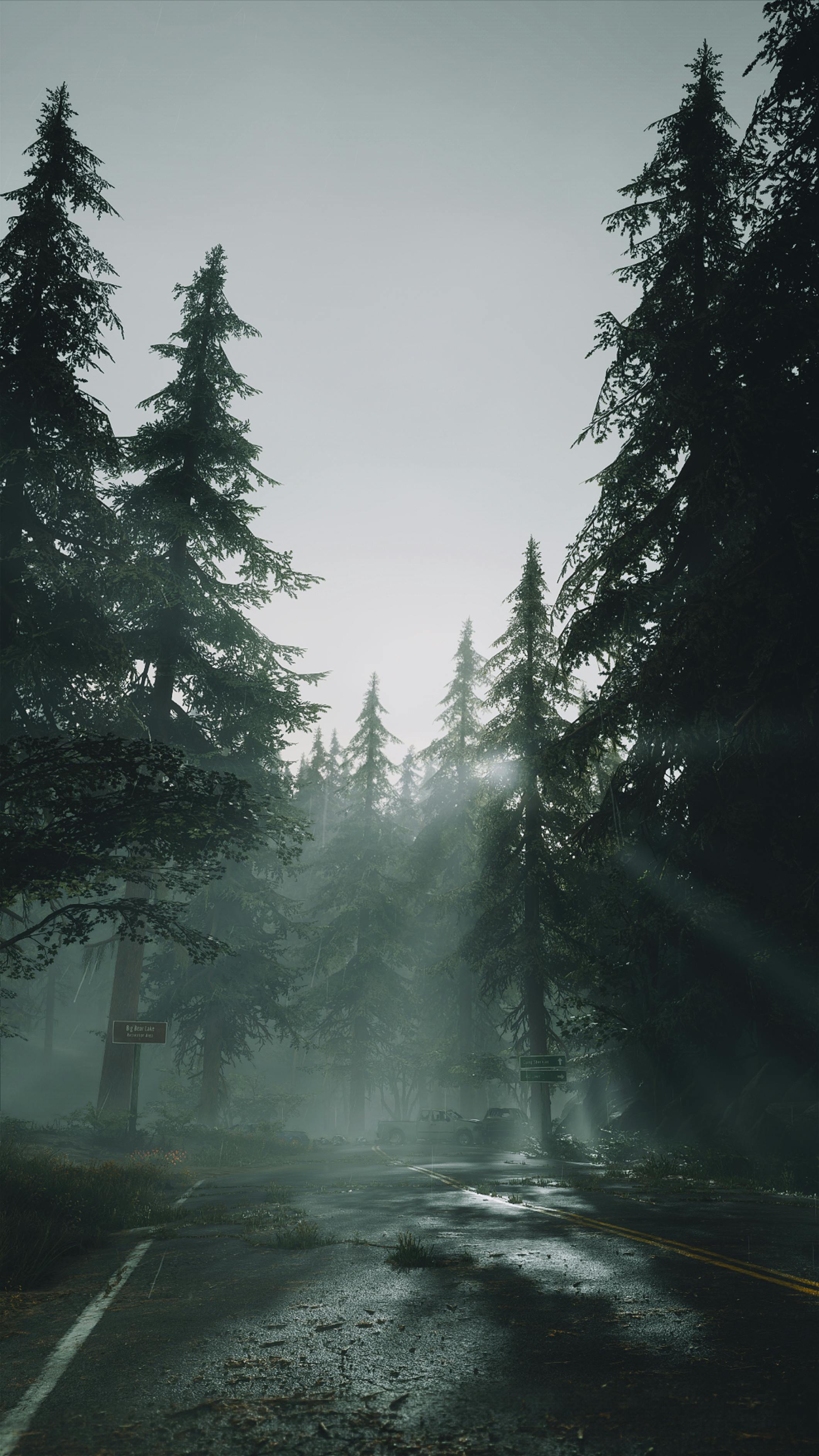 2121x3771 Green Trees Under the Gray Sky · Free