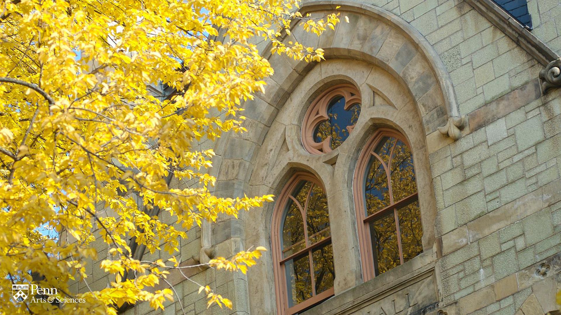 1920x1080 Penn Arts & Sciences Digital Swag. School of Arts and Sciences of Pennsylvania