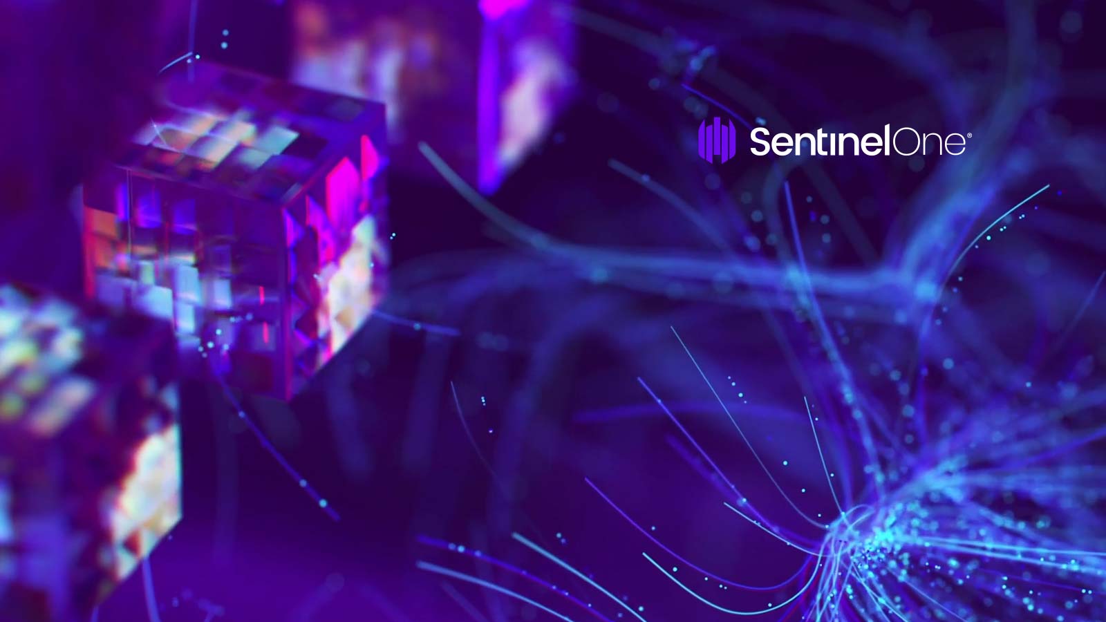 Sentinelone Background SentinelOne Wallpapers - Top Free SentinelOne Backgrounds - WallpaperAccess