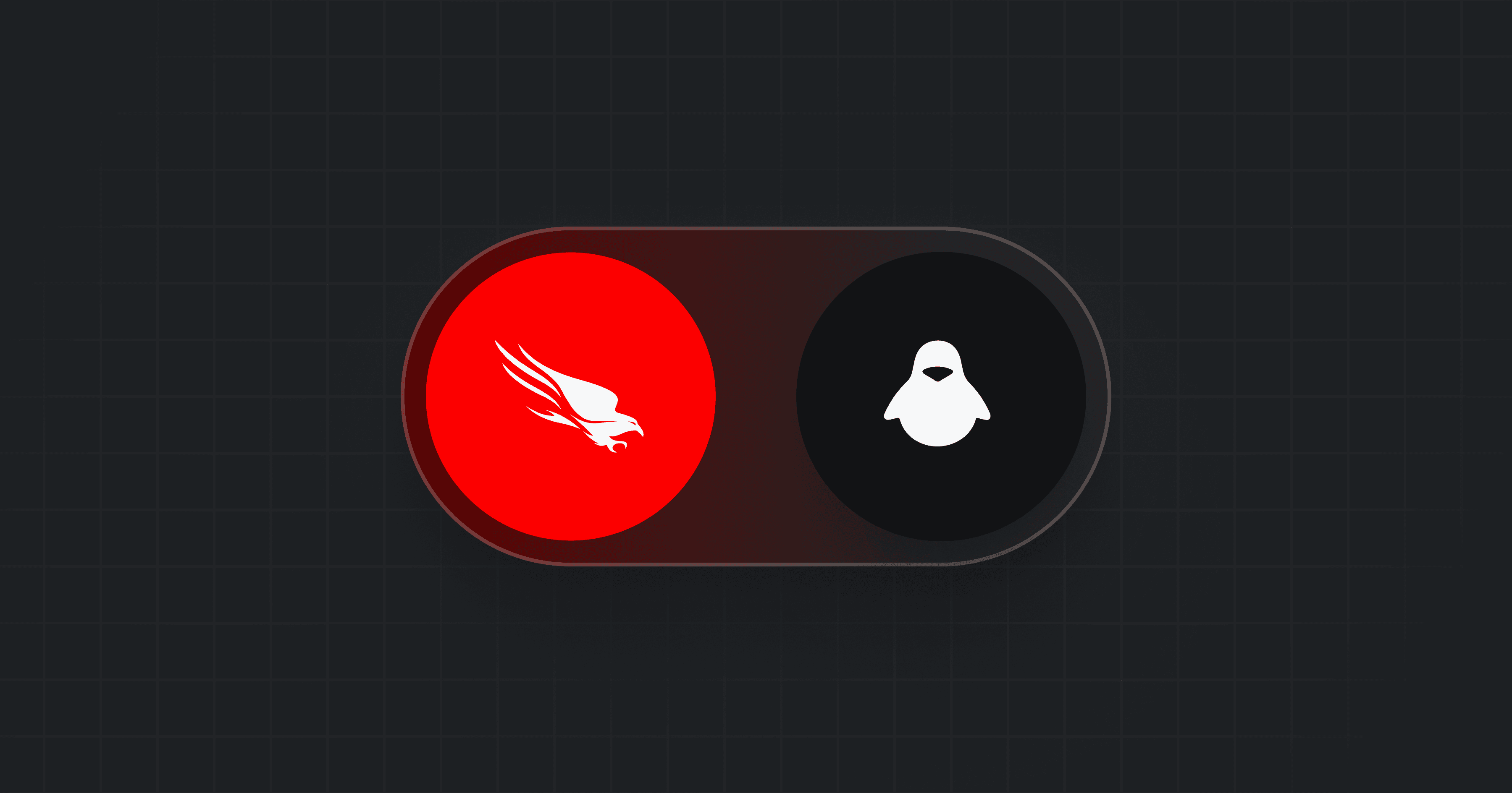 3600x1890 Crowdstrike for Linux