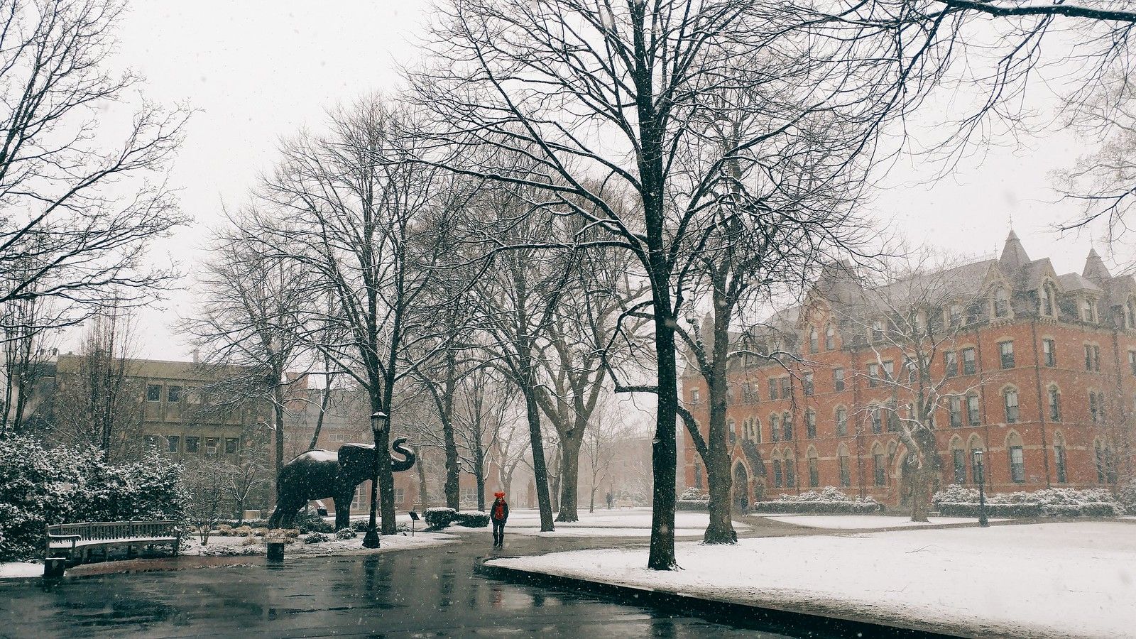 1600x900 Jumbo Winter. Tufts University, Medford Somerville, Massach