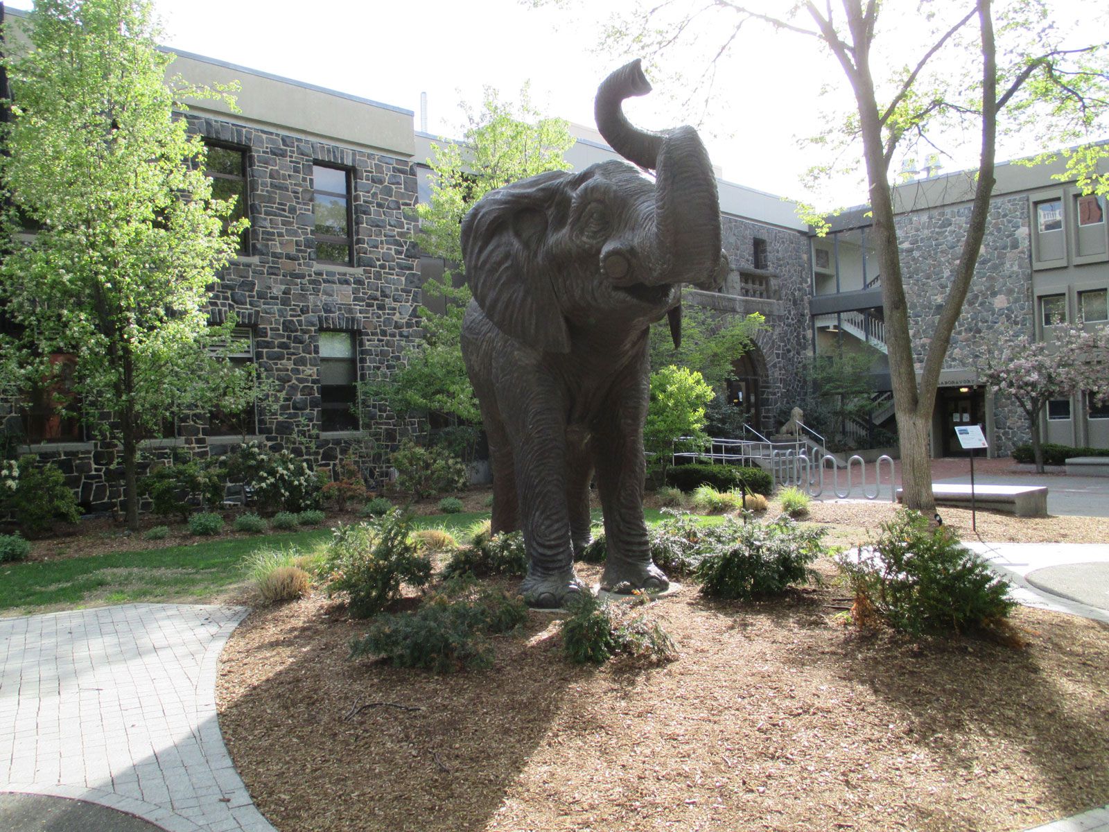1600x1200 Tufts University