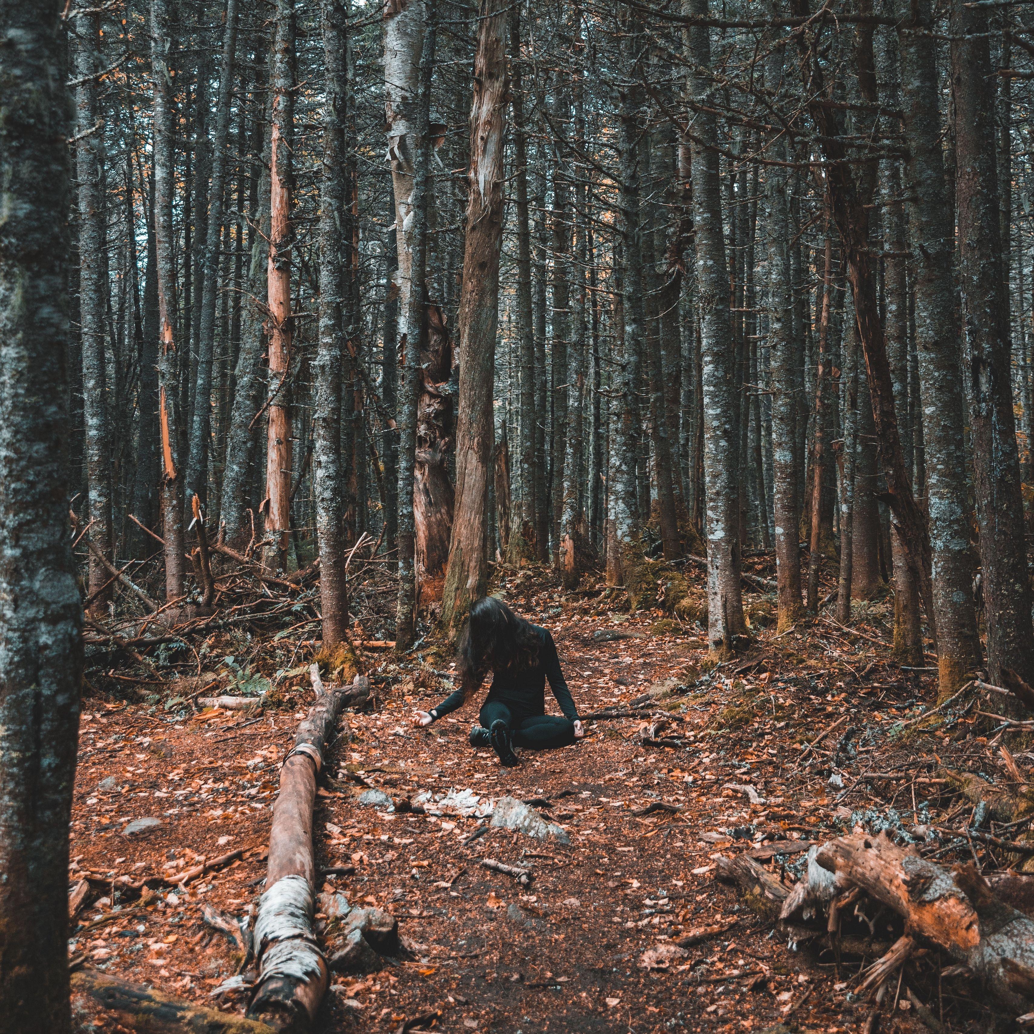 3415x3415 Download wallpaper 3415x3415 forest, girl, loneliness, trees
