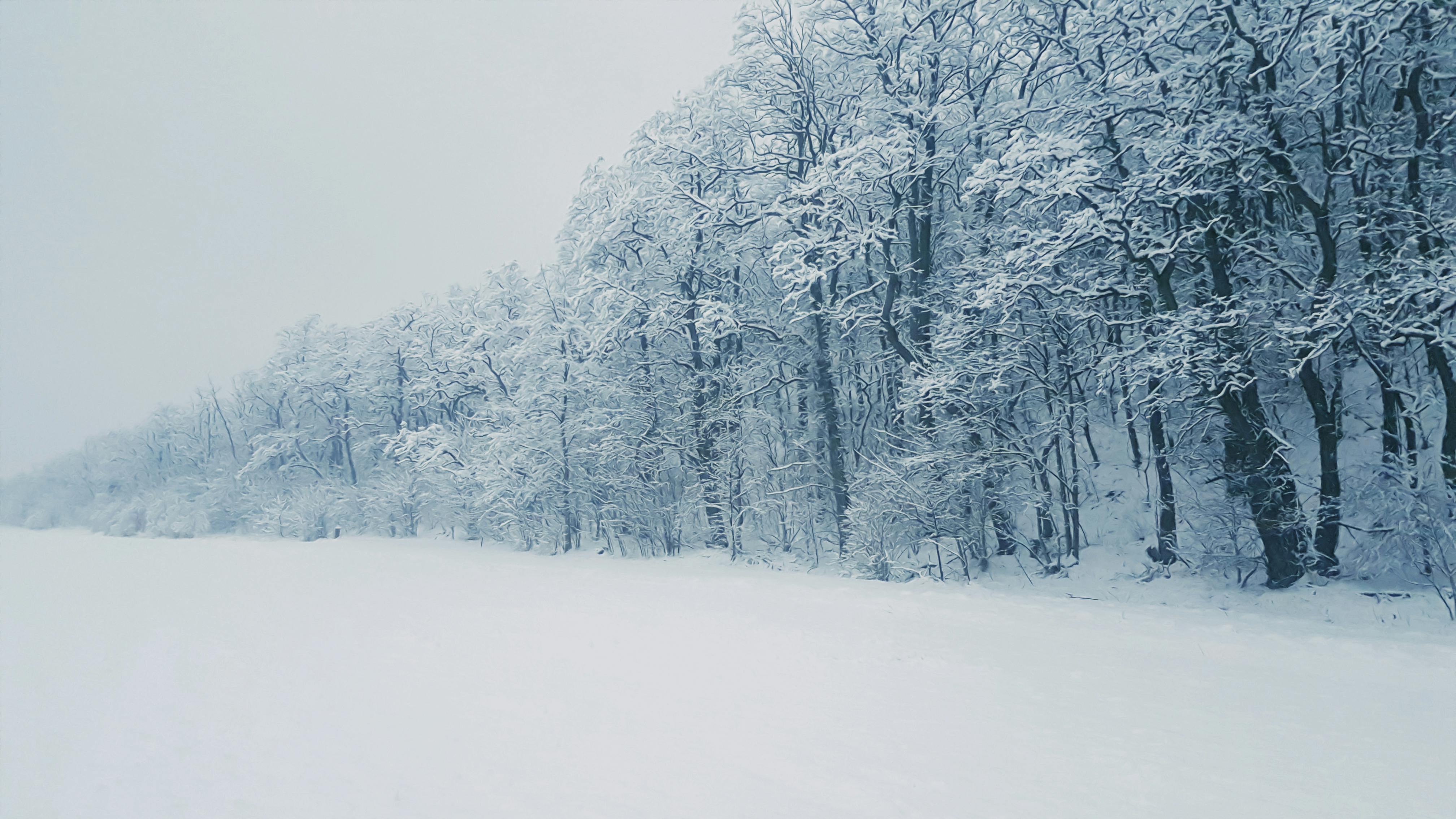4032x2268 Snowstorm Photo, Download The BEST Free Snowstorm & HD Image