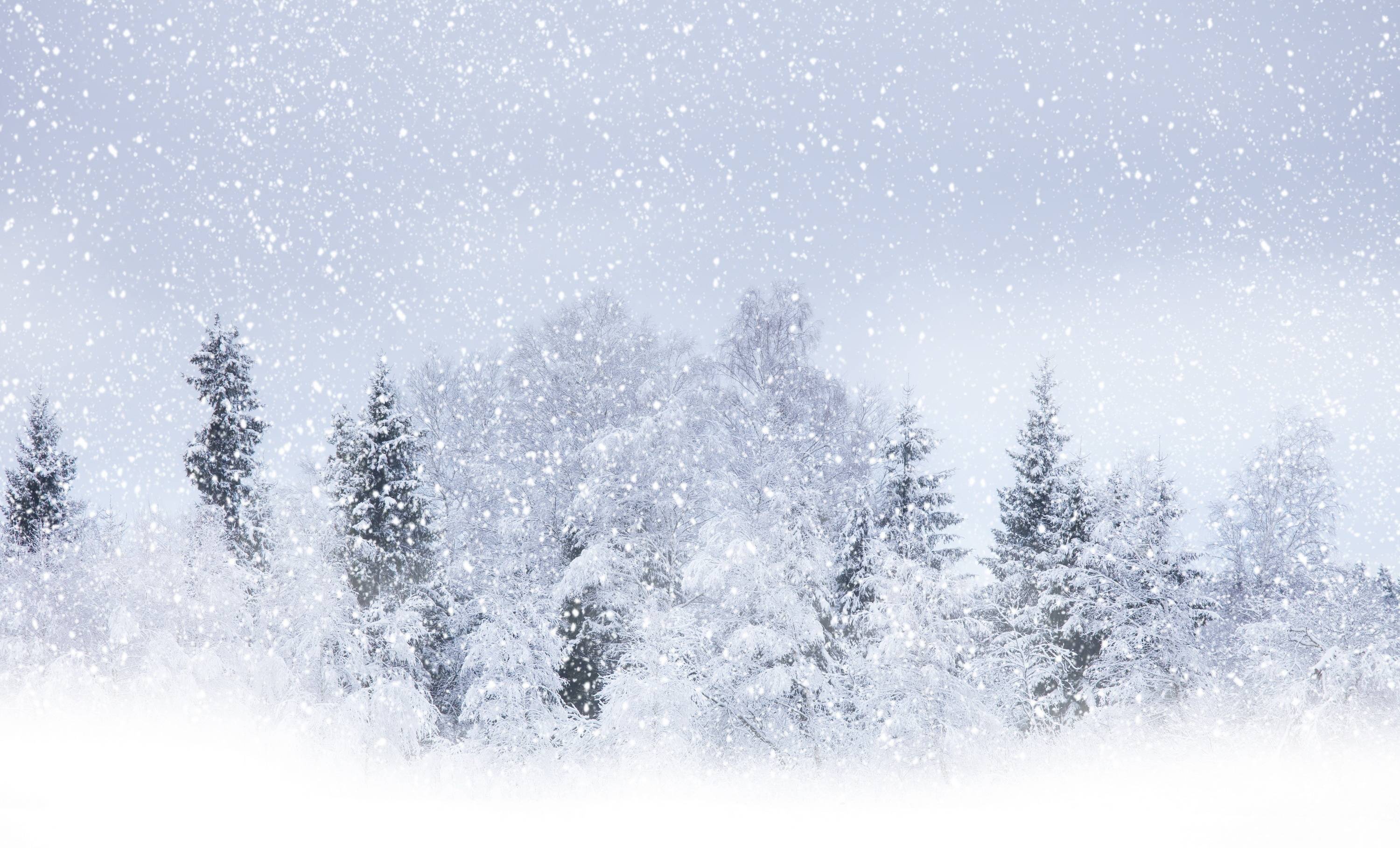 3000x1816 Winter Storm Wallpaper