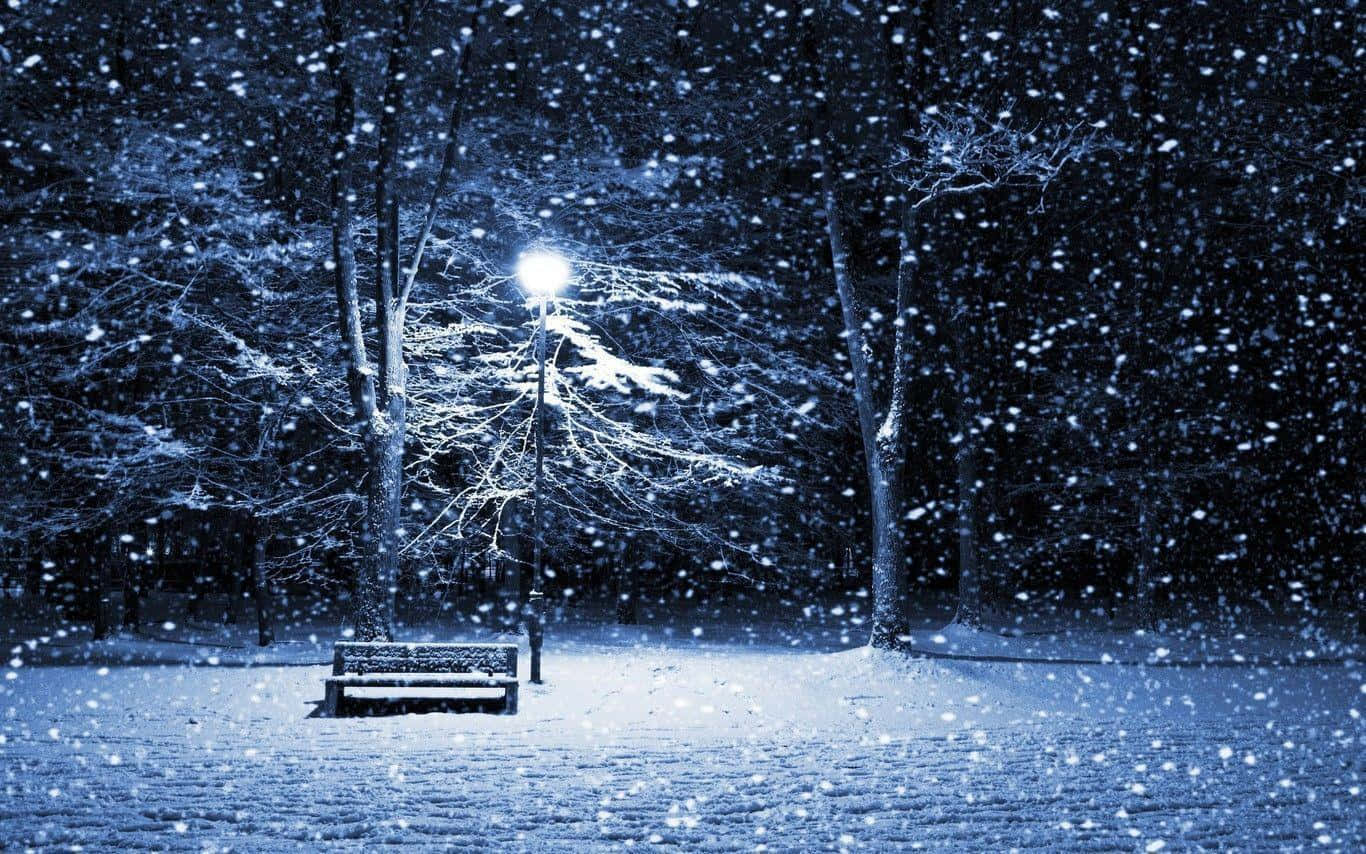 1366x854 Download A mesmerizing snowstorm in a winter wonderland Wallpaper