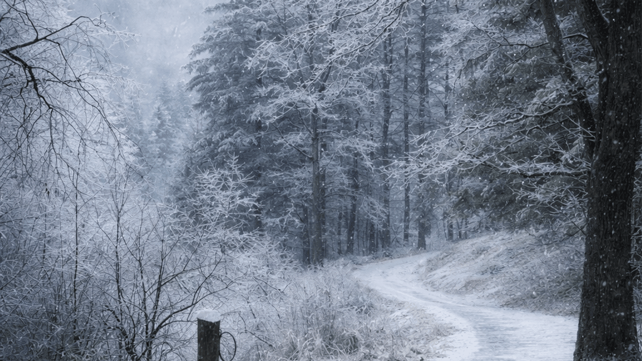 1320x743 GALLERY: Winter storm hits western North Carolina, bringing heavy ice
