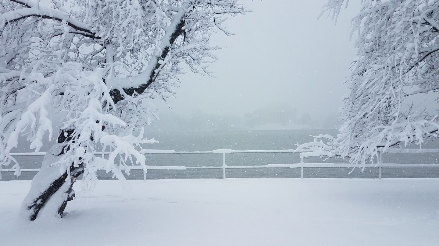 1440x810 Snow storm creates beautiful winter picture in Washington D.C. area Washington Post