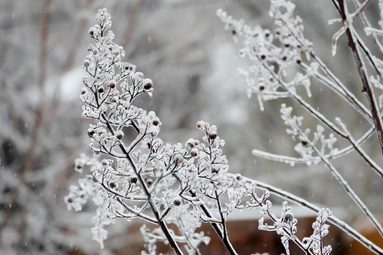 1240x827 In photo: Wintry image as storm sweeps across the US