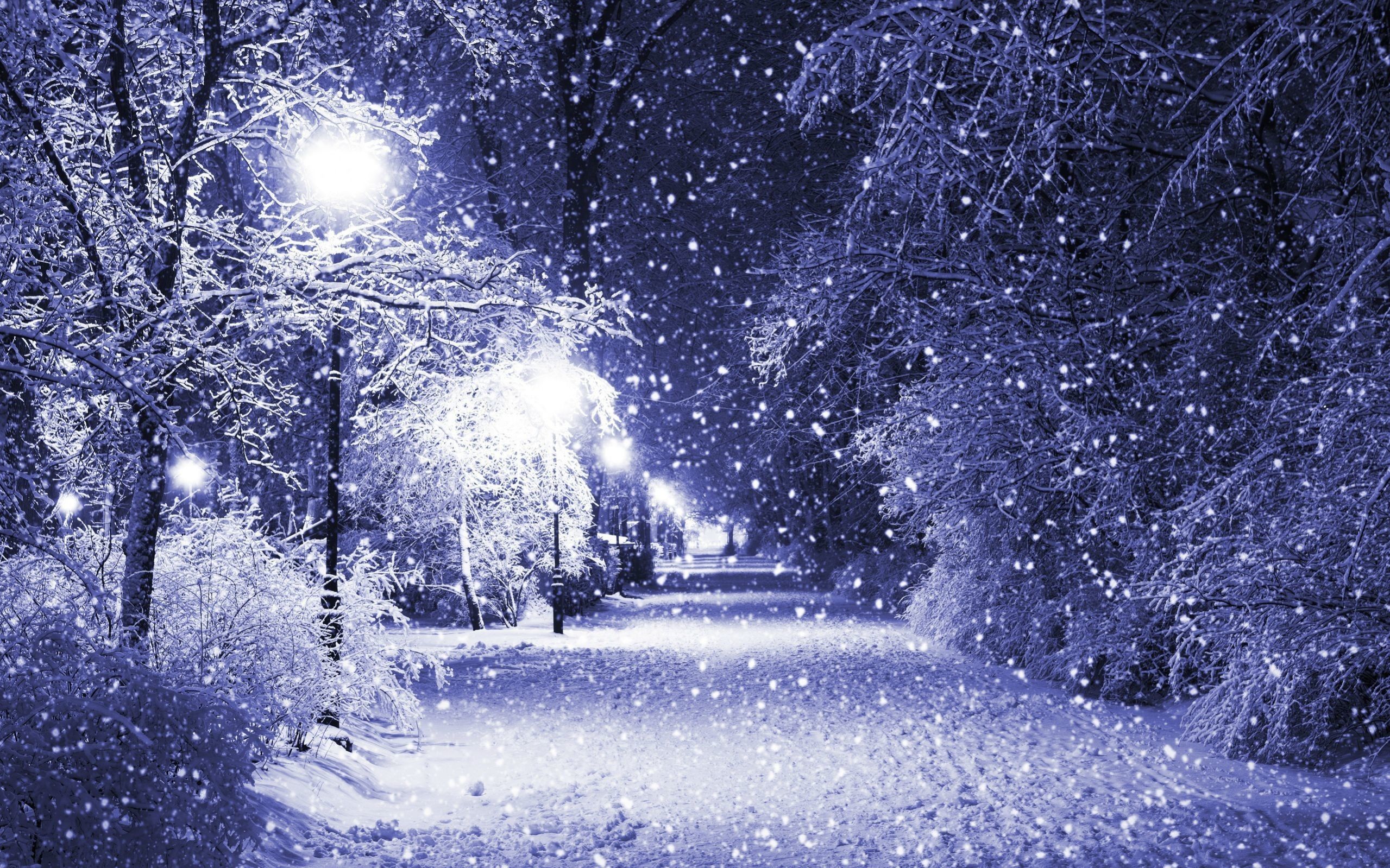 2559x1599 Ice Storm Wallpaper