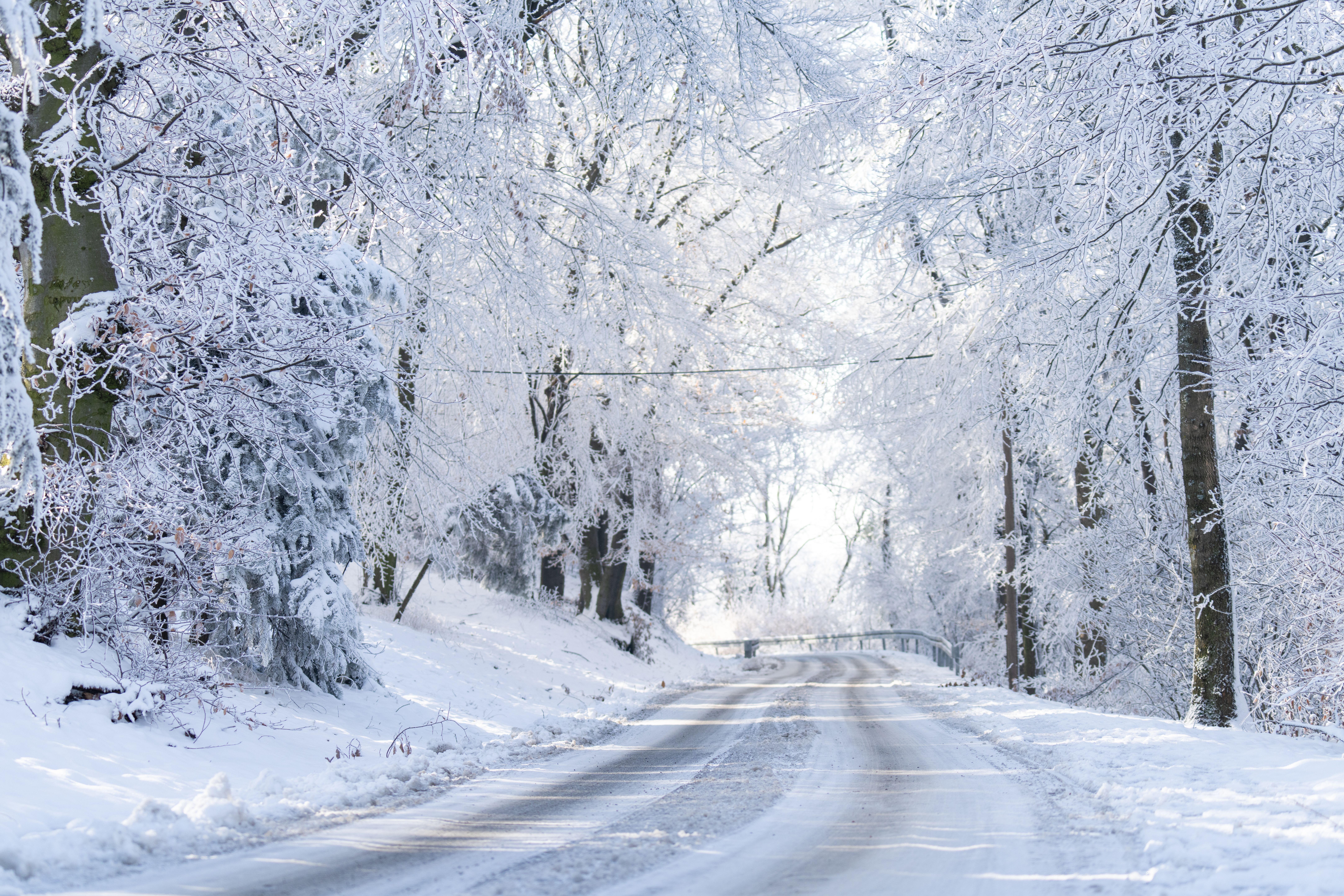 8660x5773 Winter Storm Warning As 15 Inches of Snow To Strike: 'Slick And Hazardous'