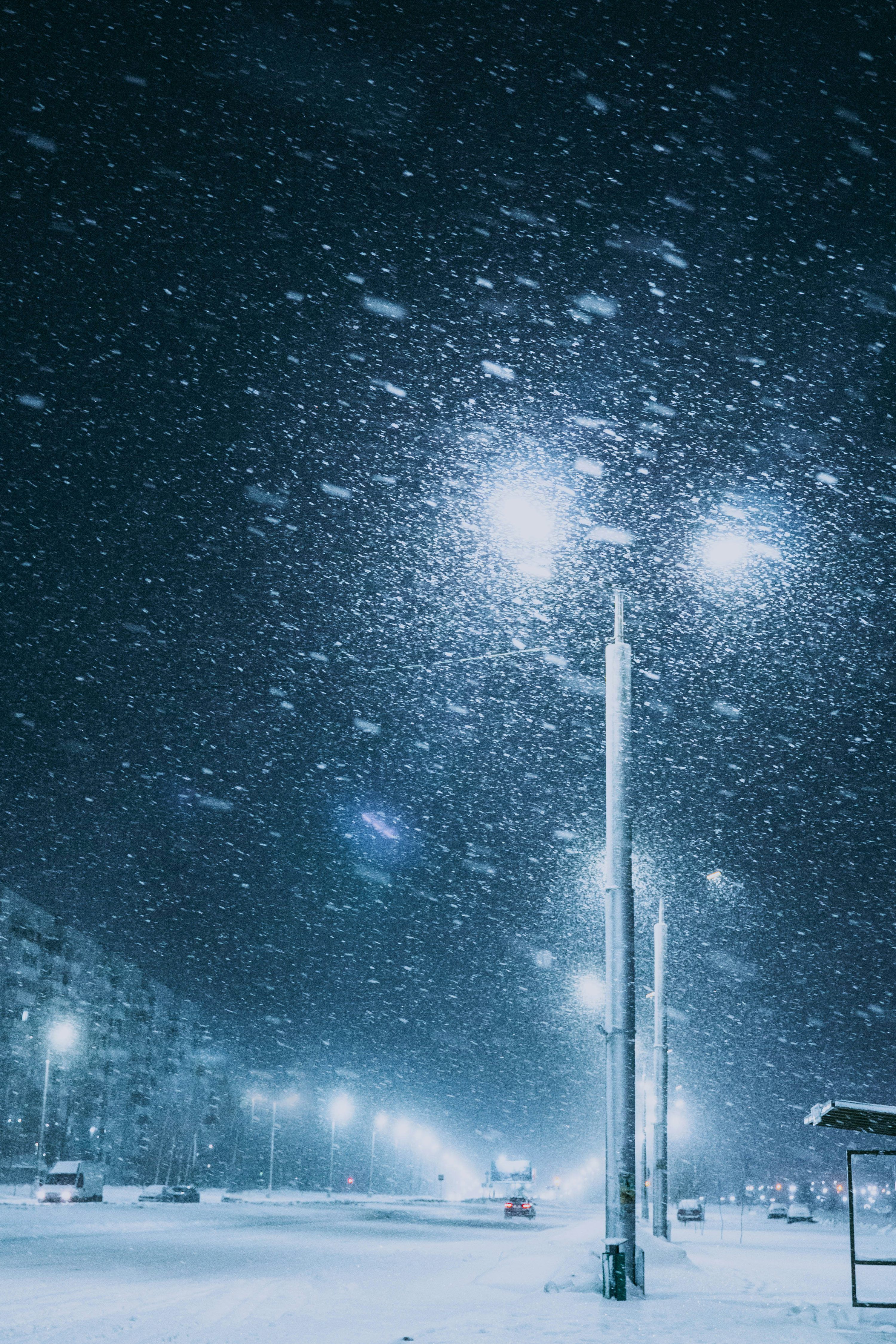 3000x4500 Blizzard Picture. Download Free Image