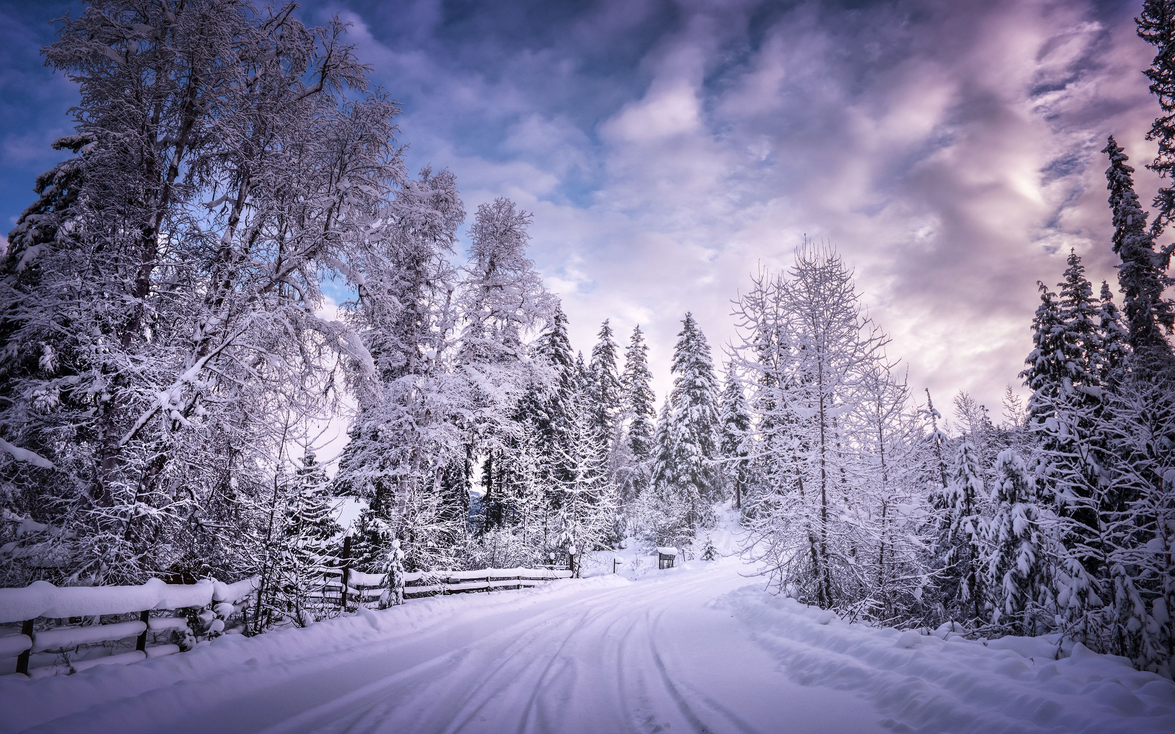 3840x2400 Snowy Trees Wallpaper 4K, Winter Road, Snow covered