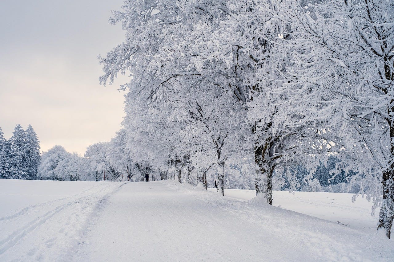1280x853 Why the First Flakes of Vermont Snow Are the Dirtiest: Lessons from Winter Storm Fern