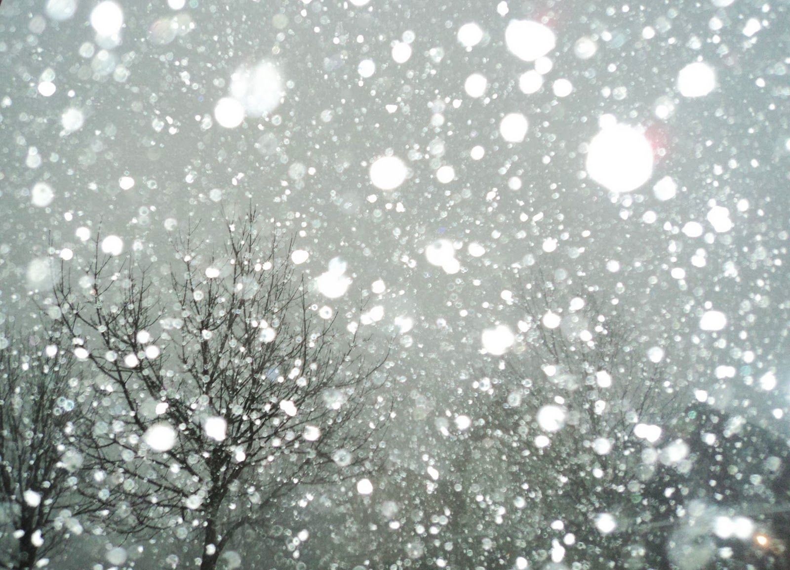1600x1154 More Photo of Winter (the serious stuff)