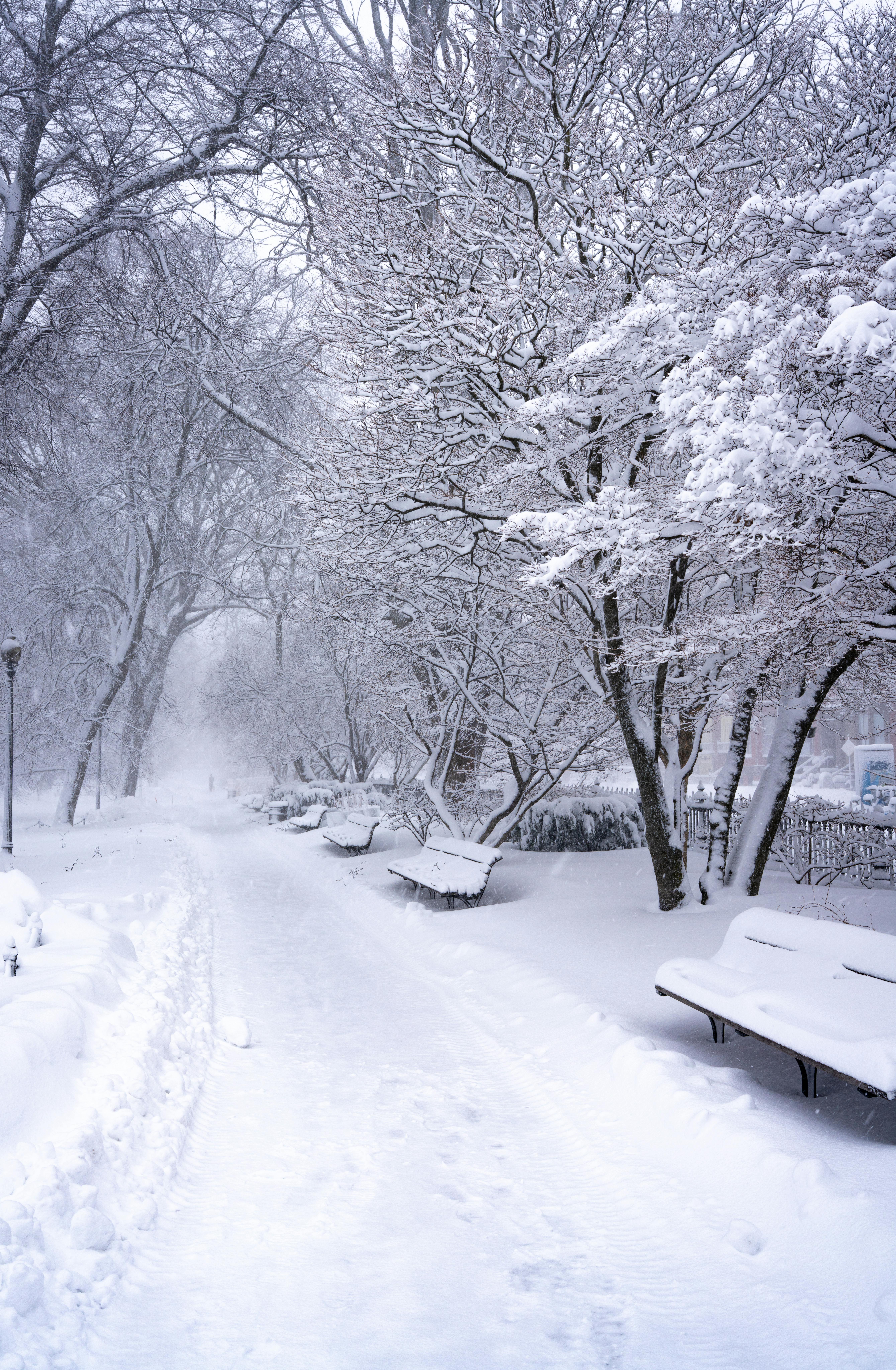 5357x8192 Snowy Urban Sidewalk During Winter Storm · Free