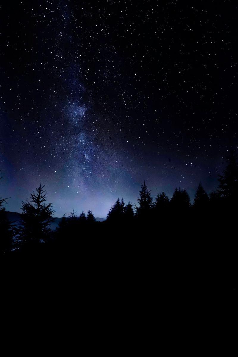 800x1200 Download wallpaper 800x1200 starry sky, night, stars, trees, dark