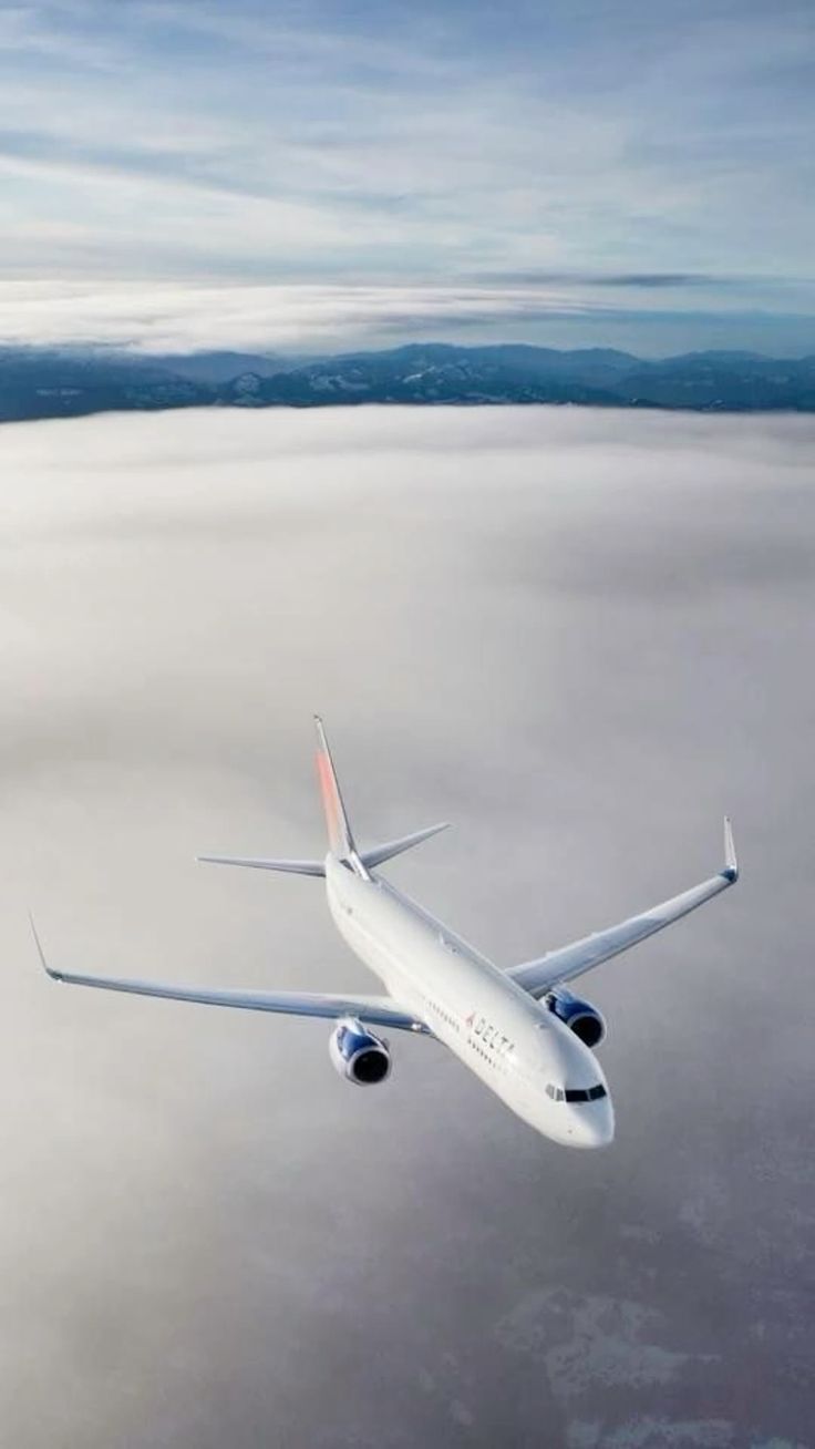 736x1308 Delta Air Lines • Boeing 737 832