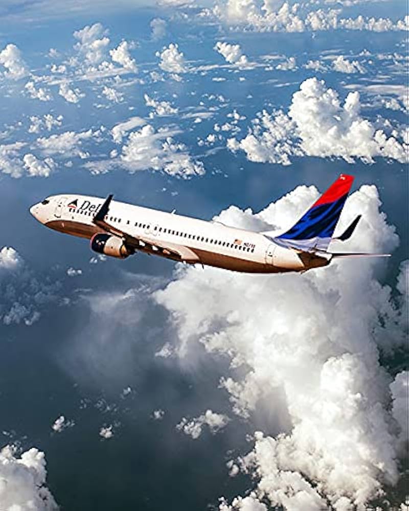 800x1000 Delta Airlines Boeing 737 11x14 Photograph Photo Print: Posters & Prints