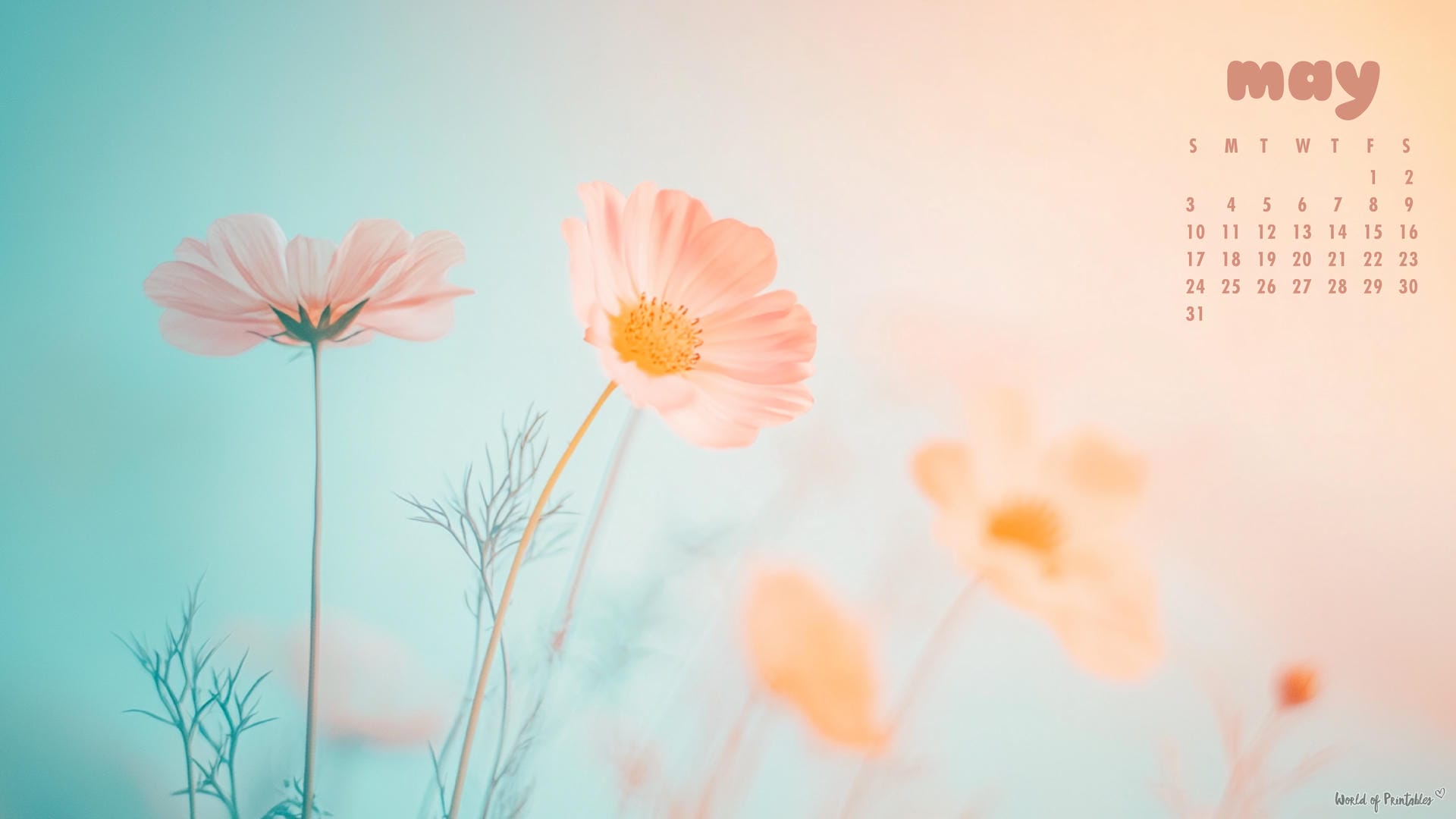 1920x1080 Free May 2026 Calendar Wallpaper