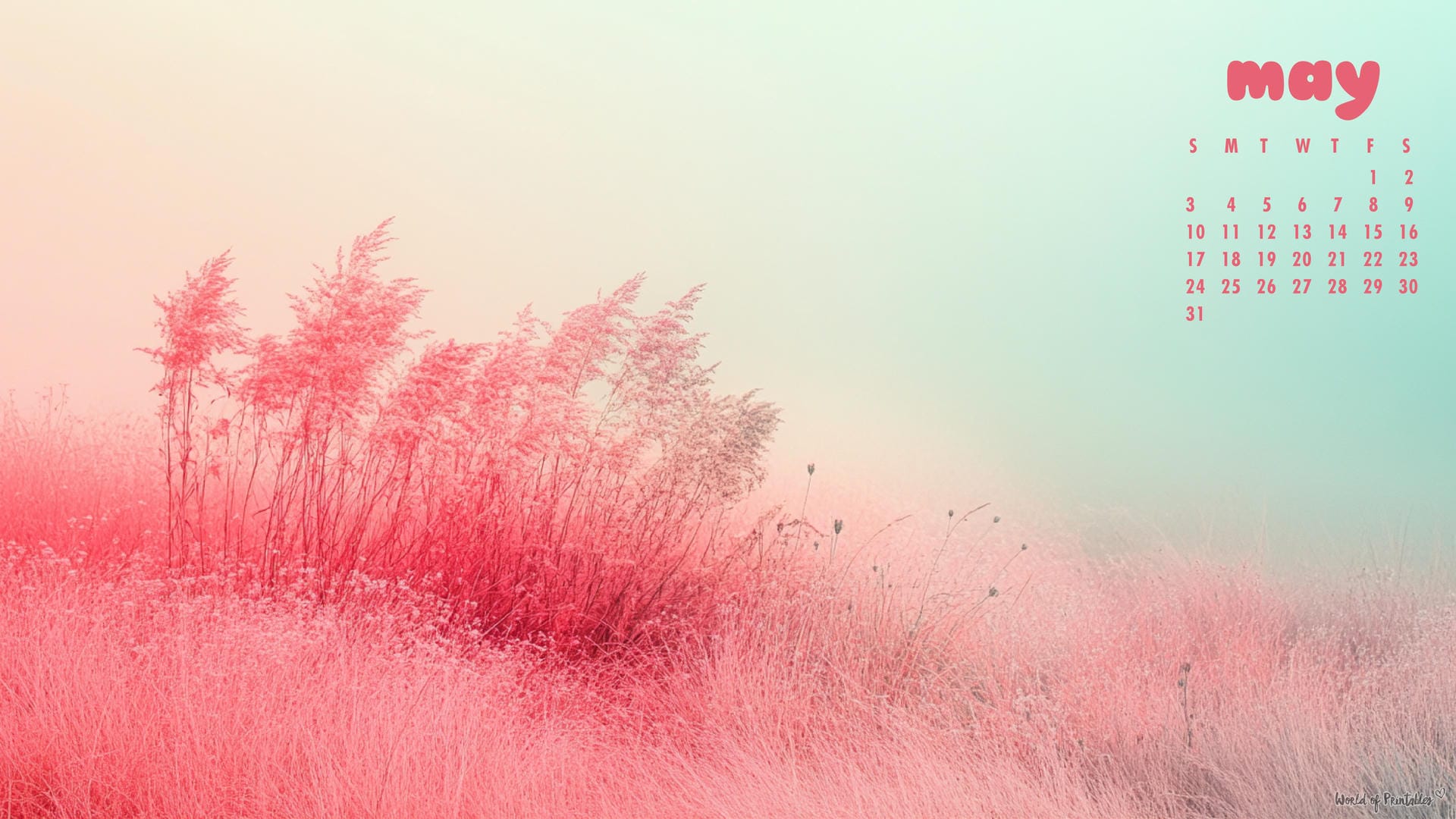 1920x1080 Free May 2026 Calendar Wallpaper